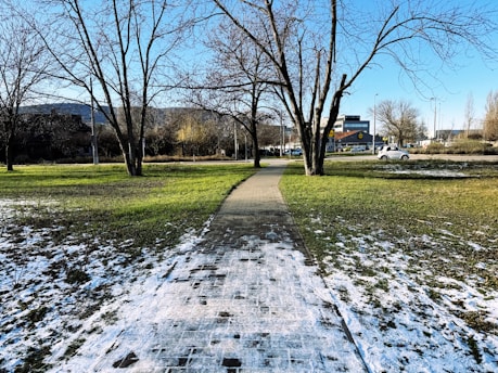 A paved path through a park with patches of snow.