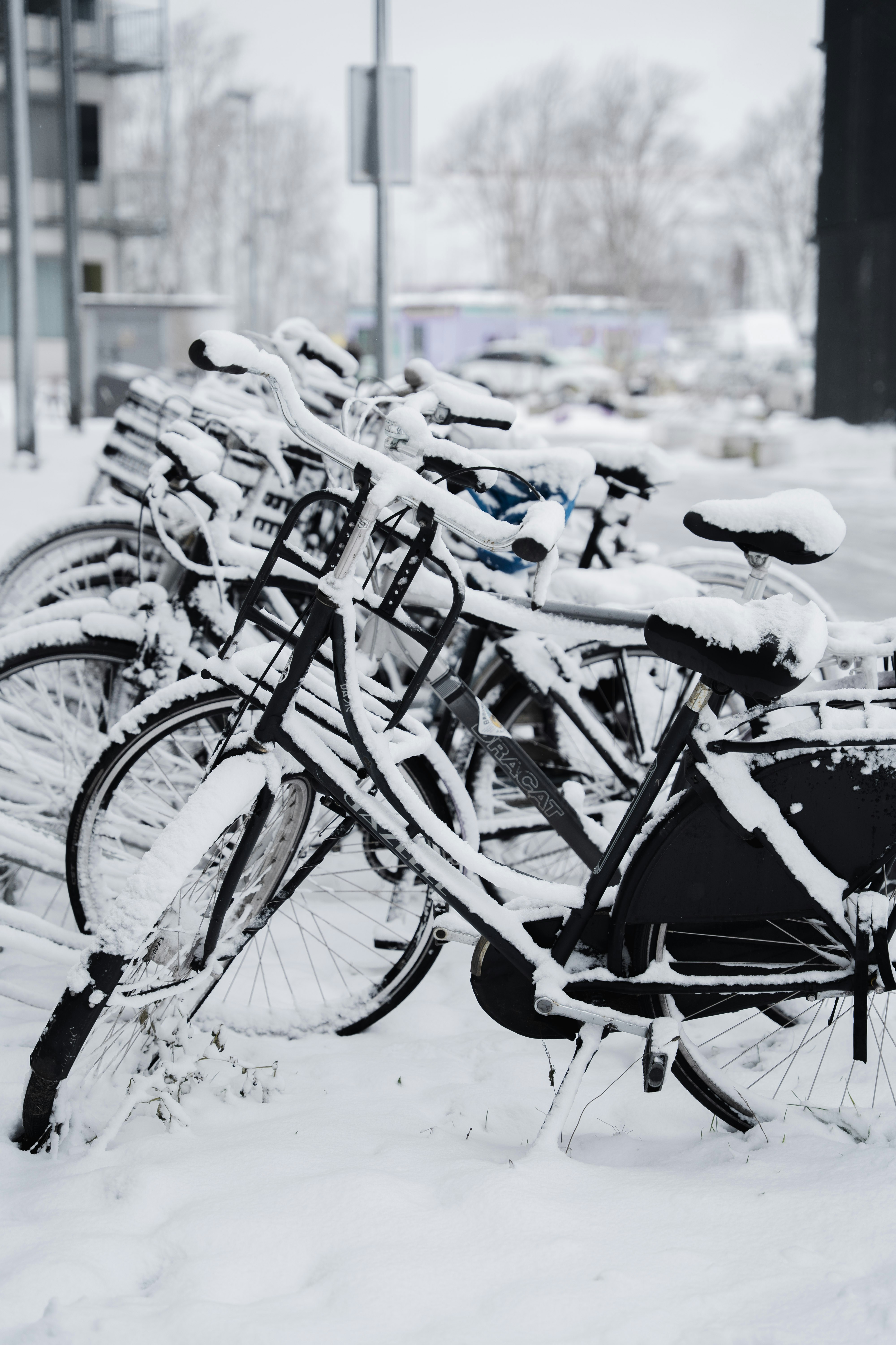 Photo by anani_oluwatobi