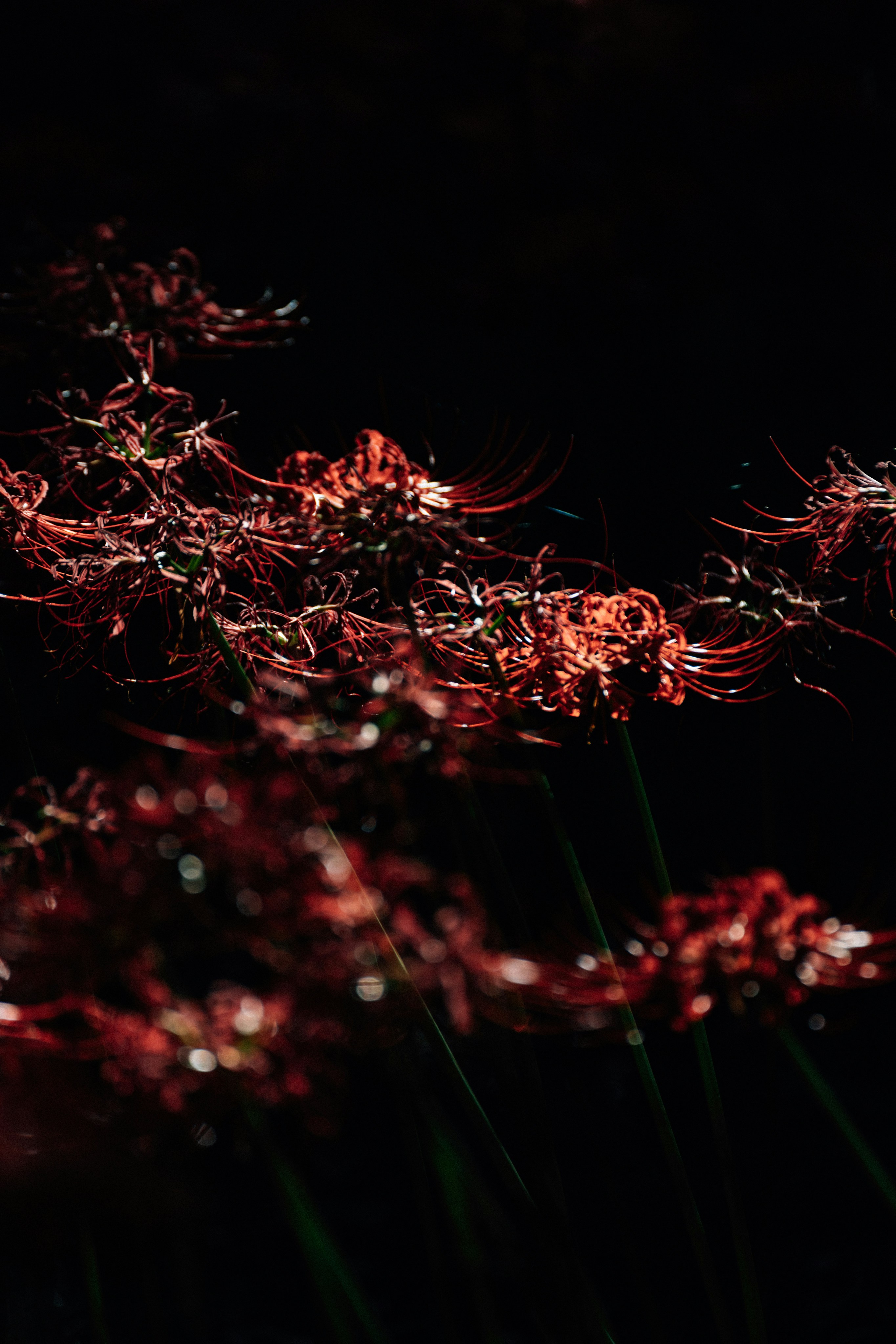 Photo by tsuyoshikozu