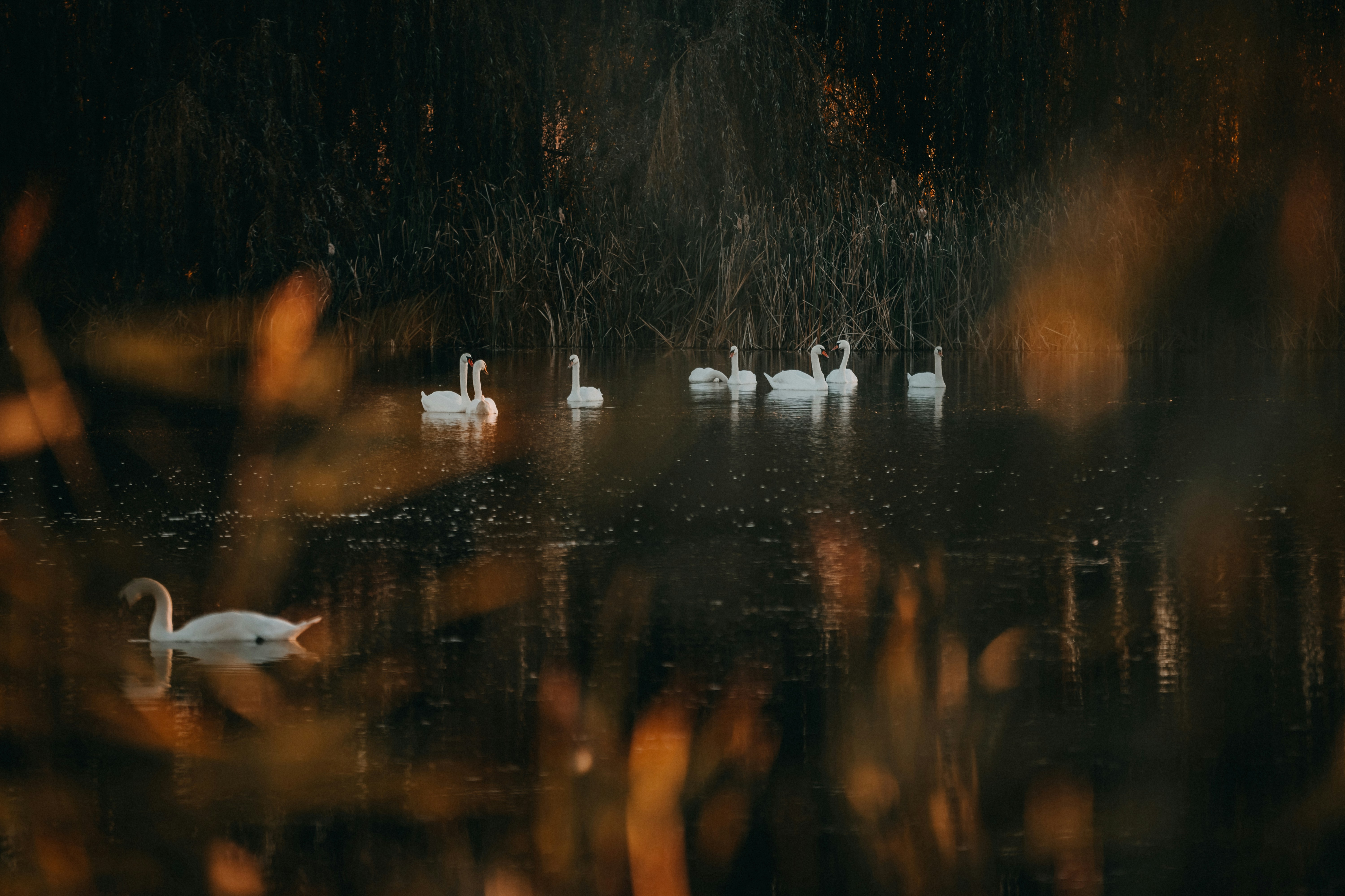 Photo by sylvester_s