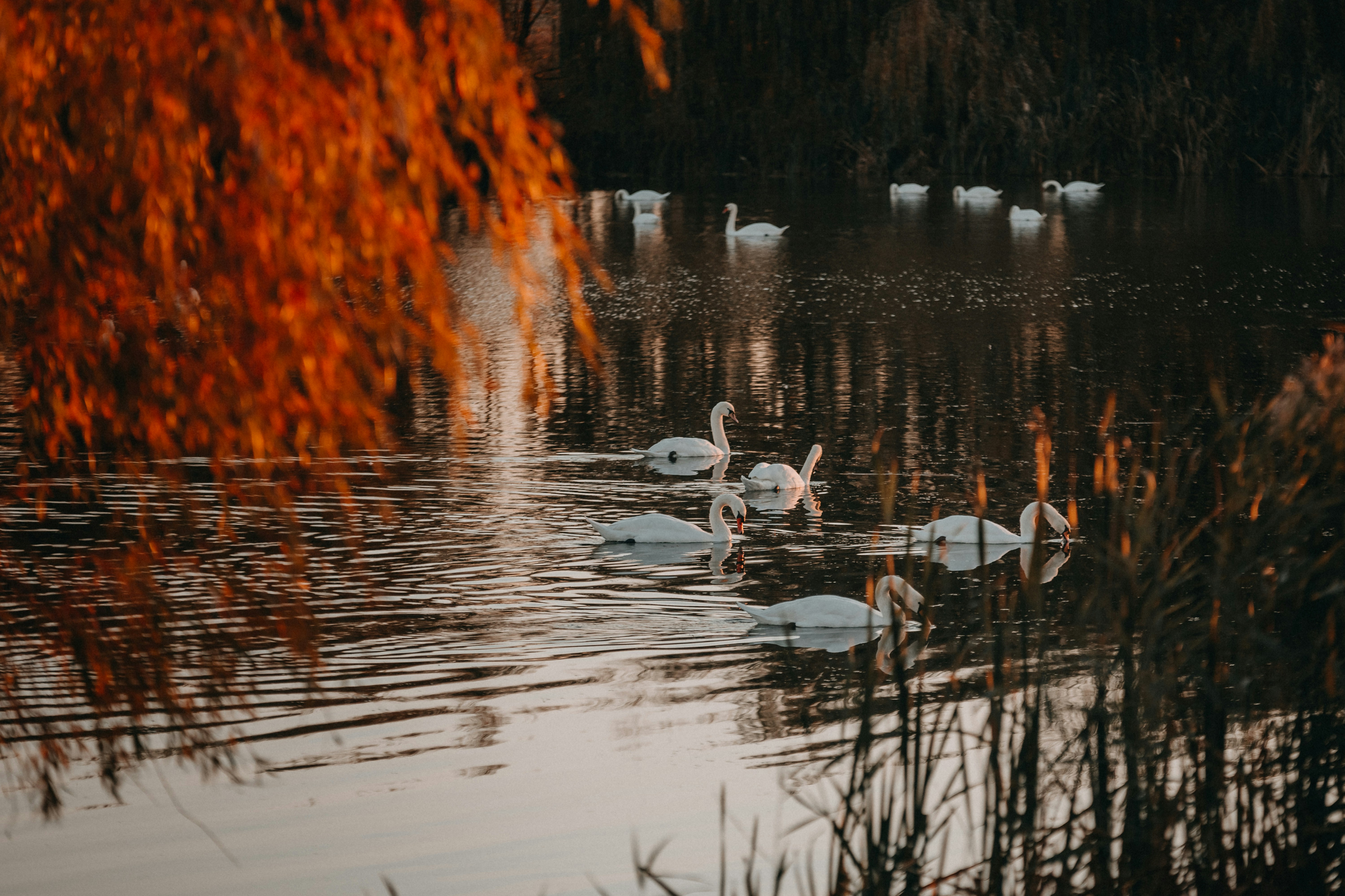 Photo by sylvester_s