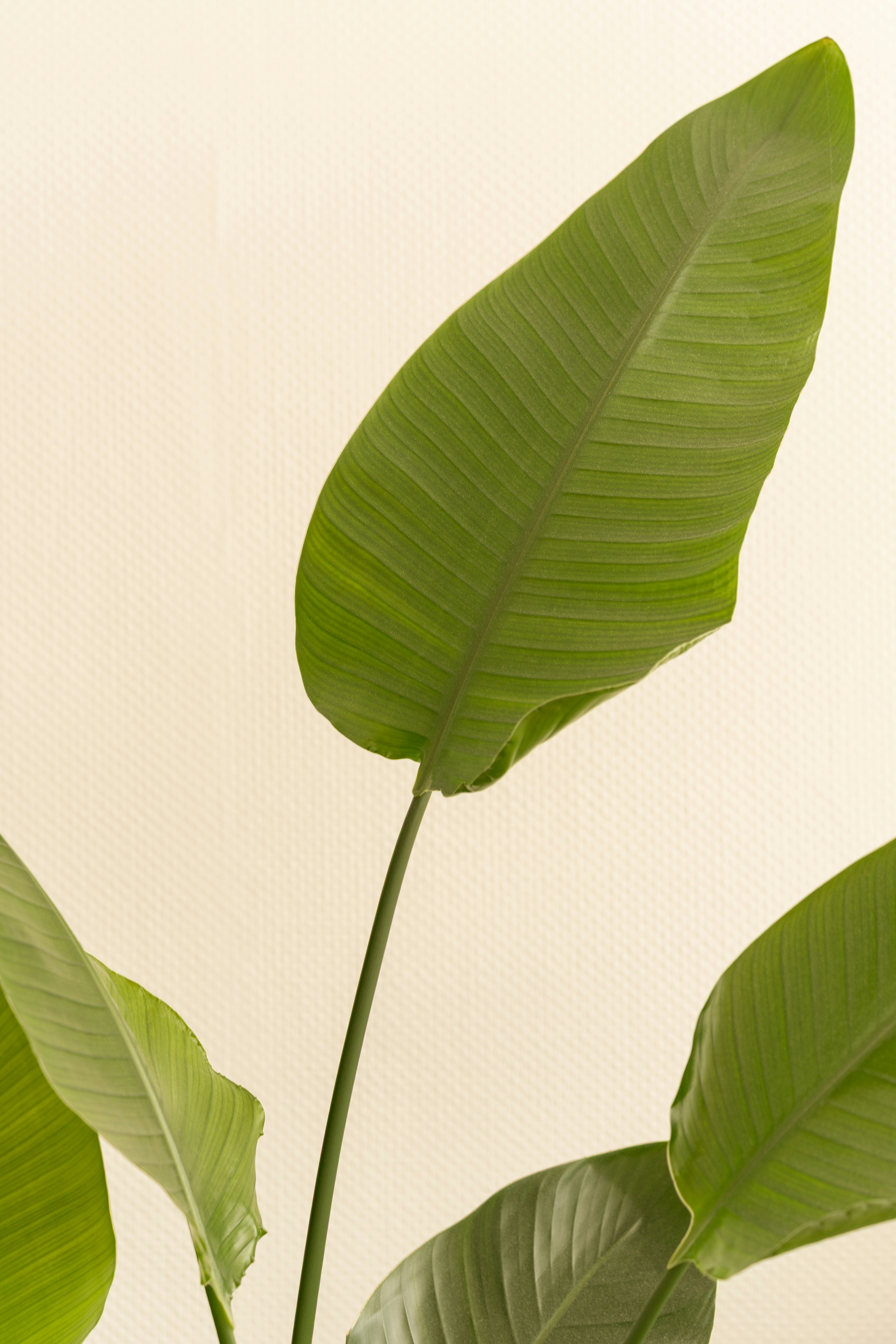 Photo by visualsbying