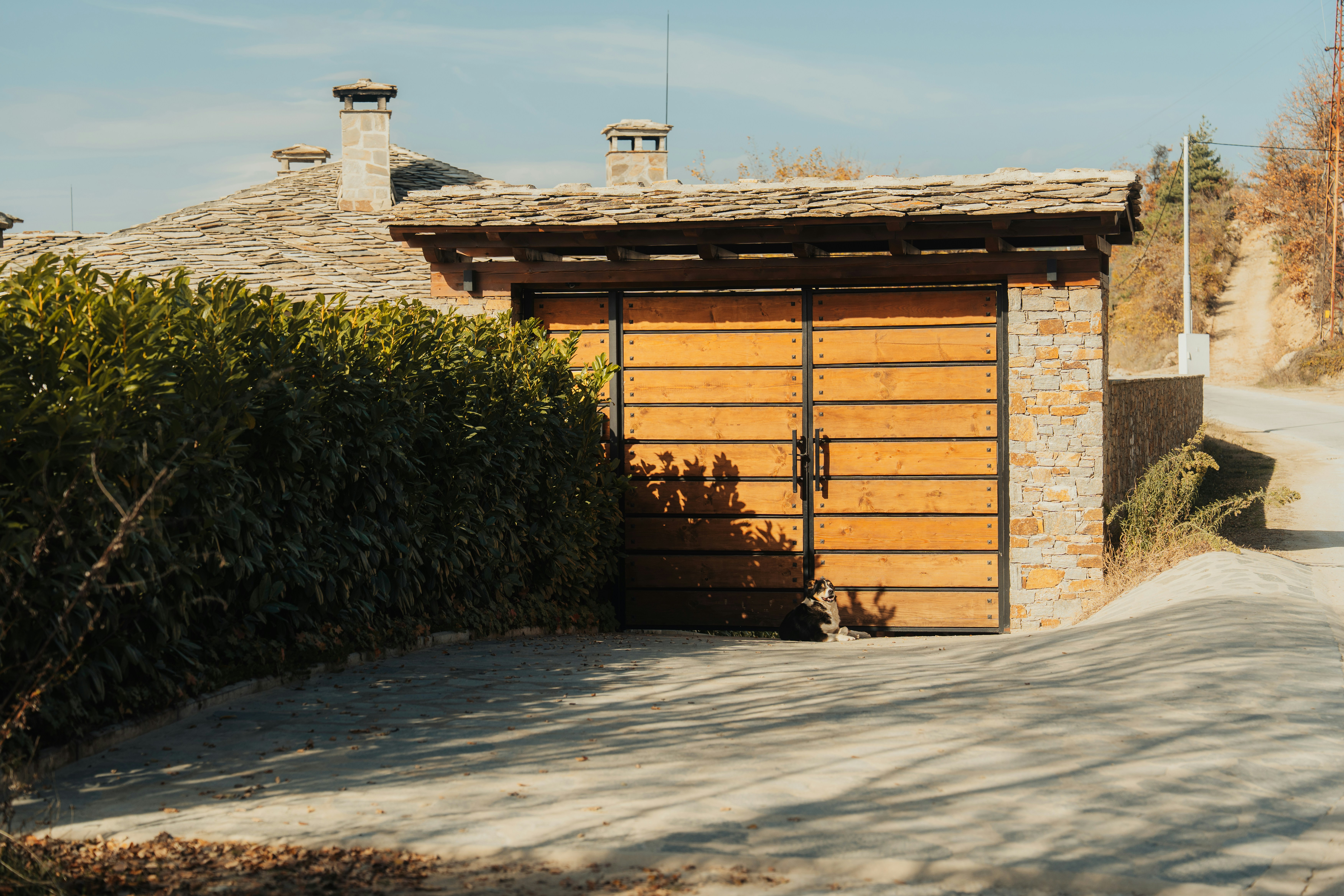 Photo by sharalievantonio