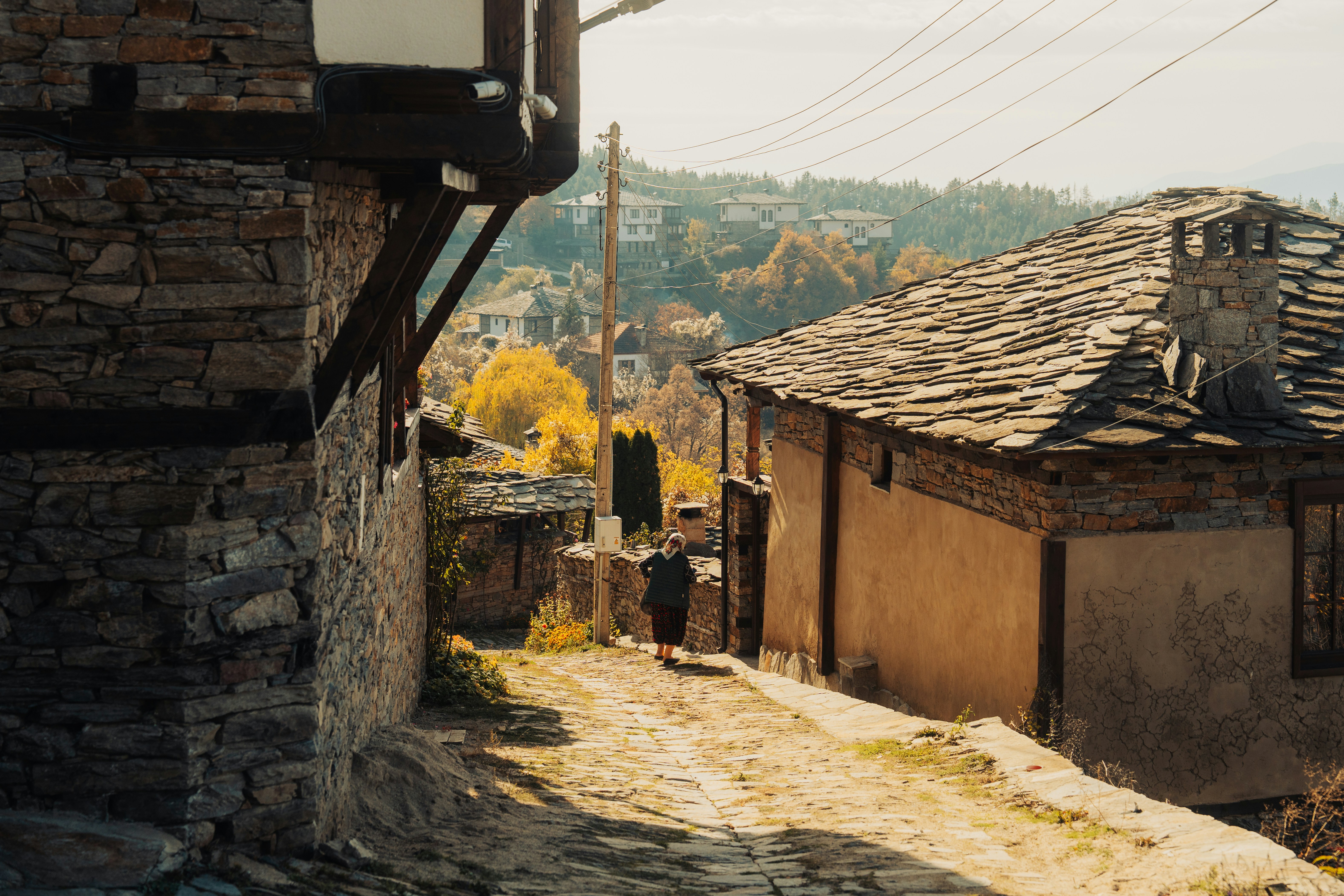 Photo by sharalievantonio