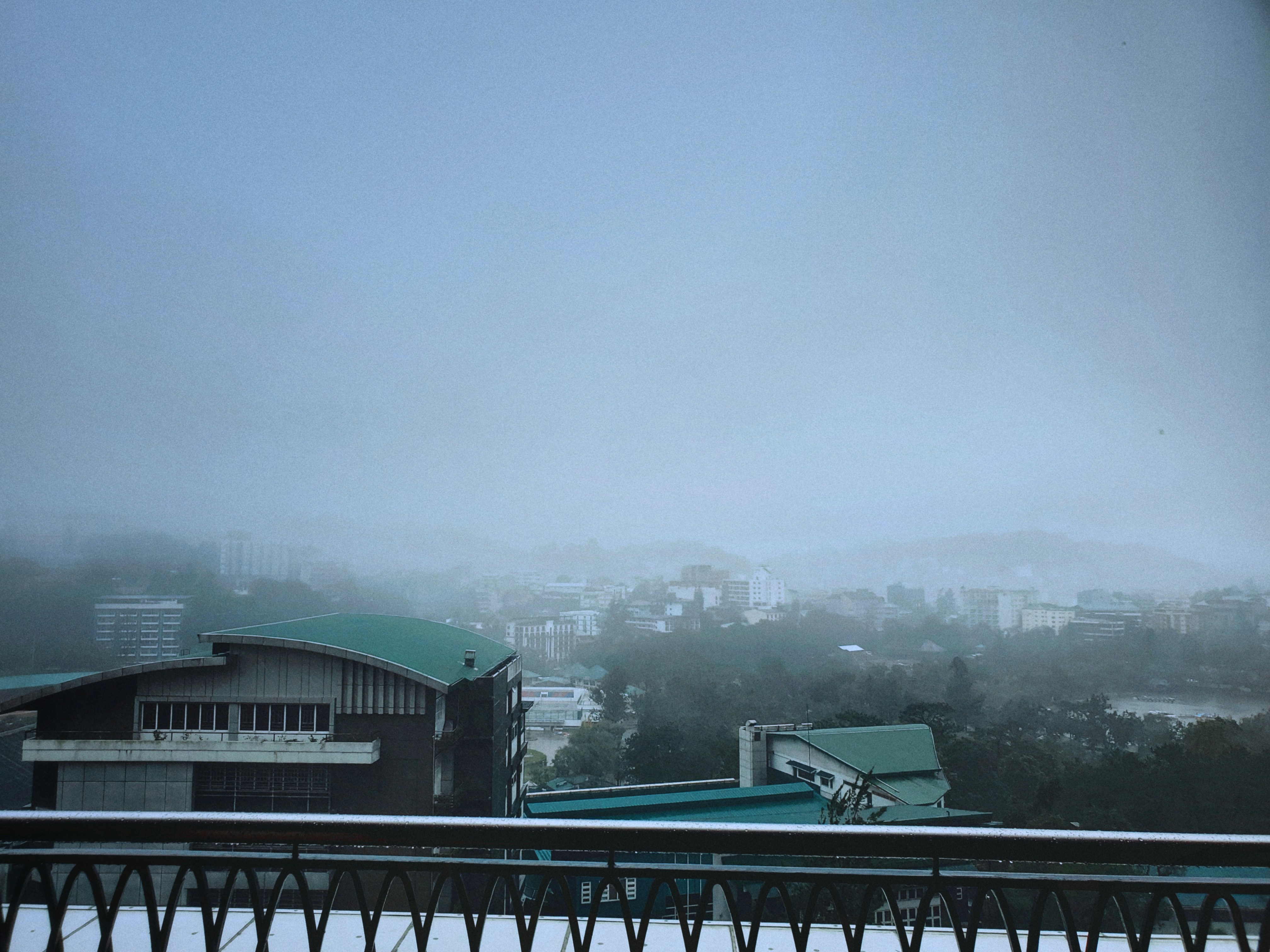 Foggy cityscape with modern buildings and trees