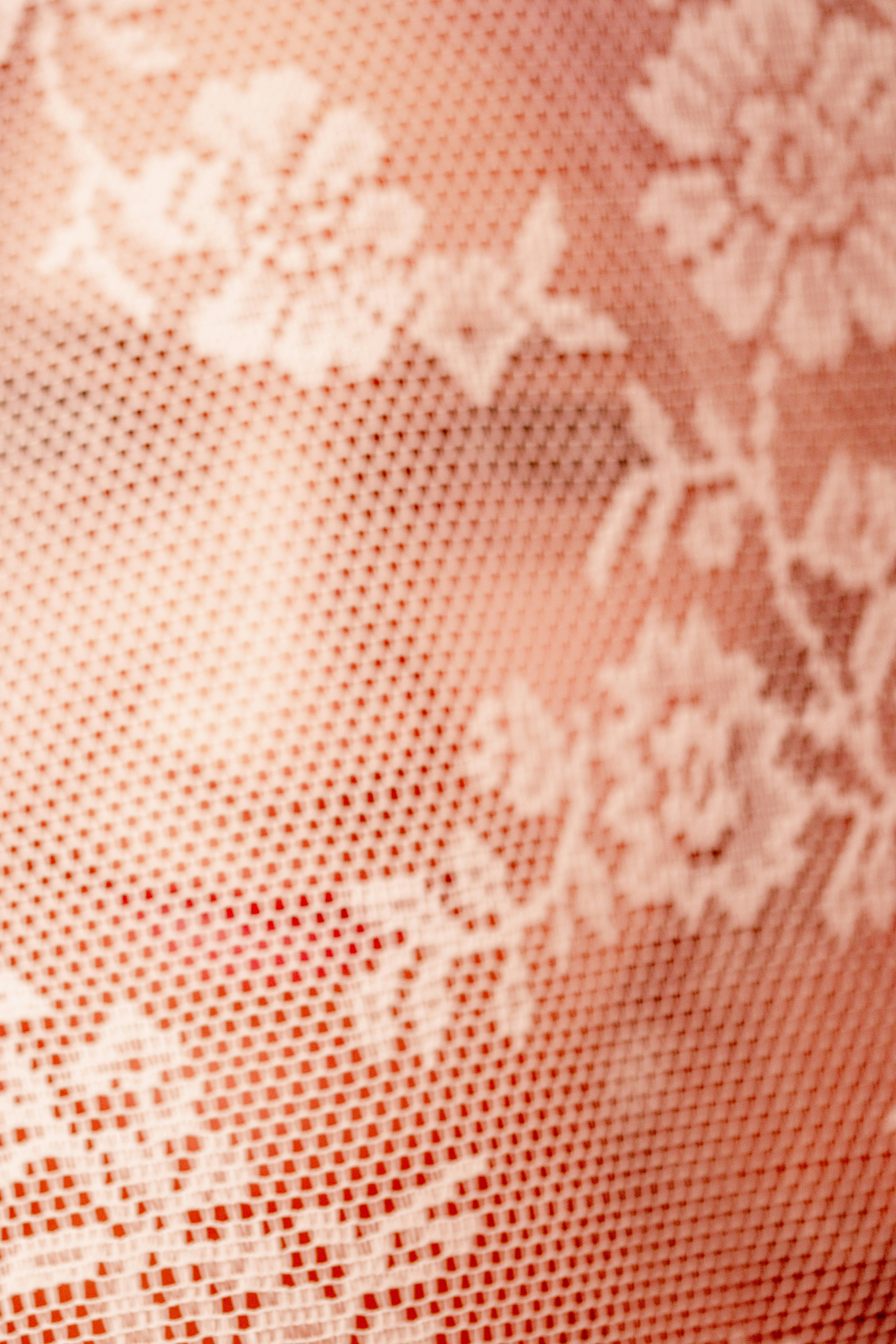 Gros plan de dentelle florale blanche sur fond rose