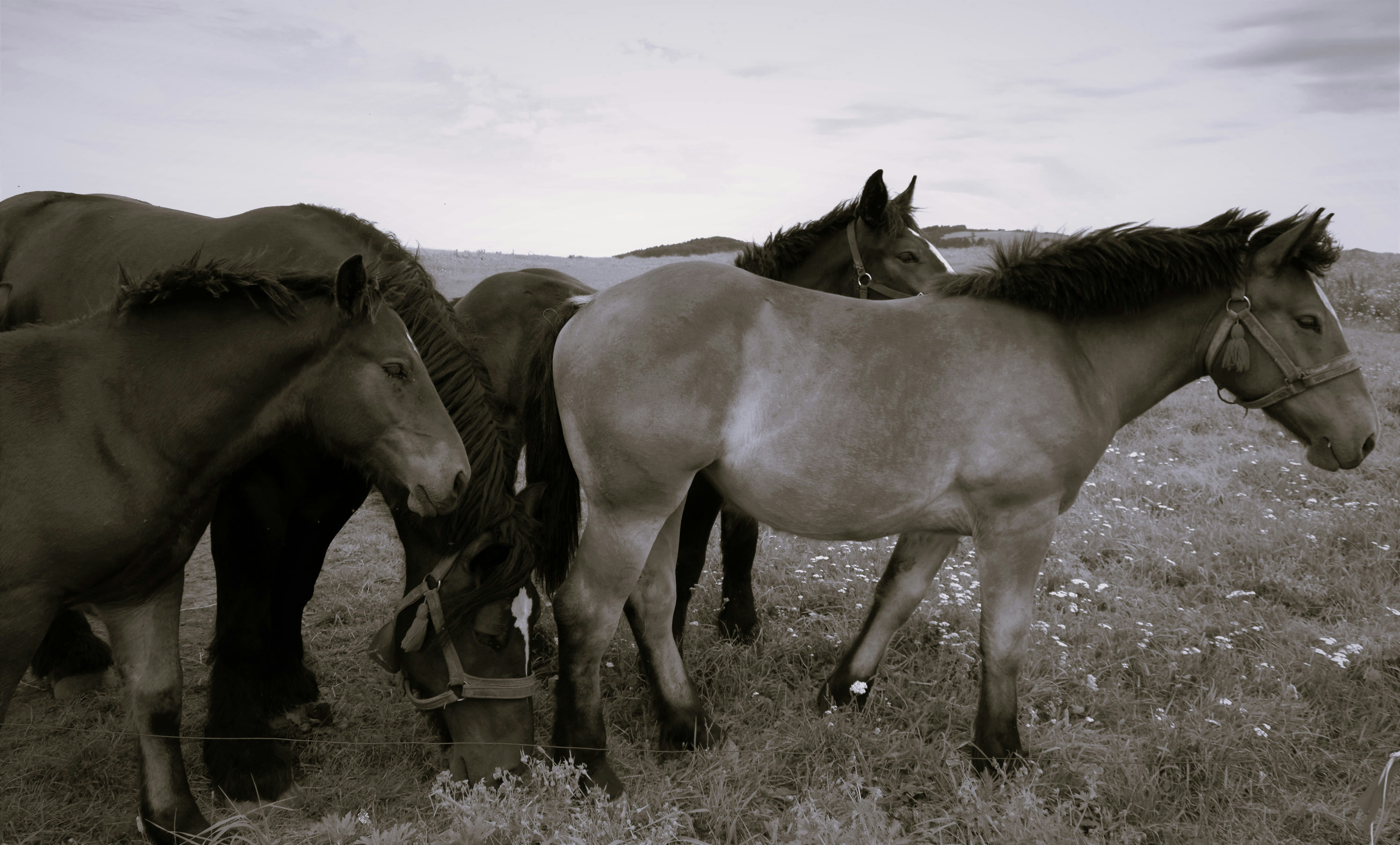 Photo by sabetheodoore