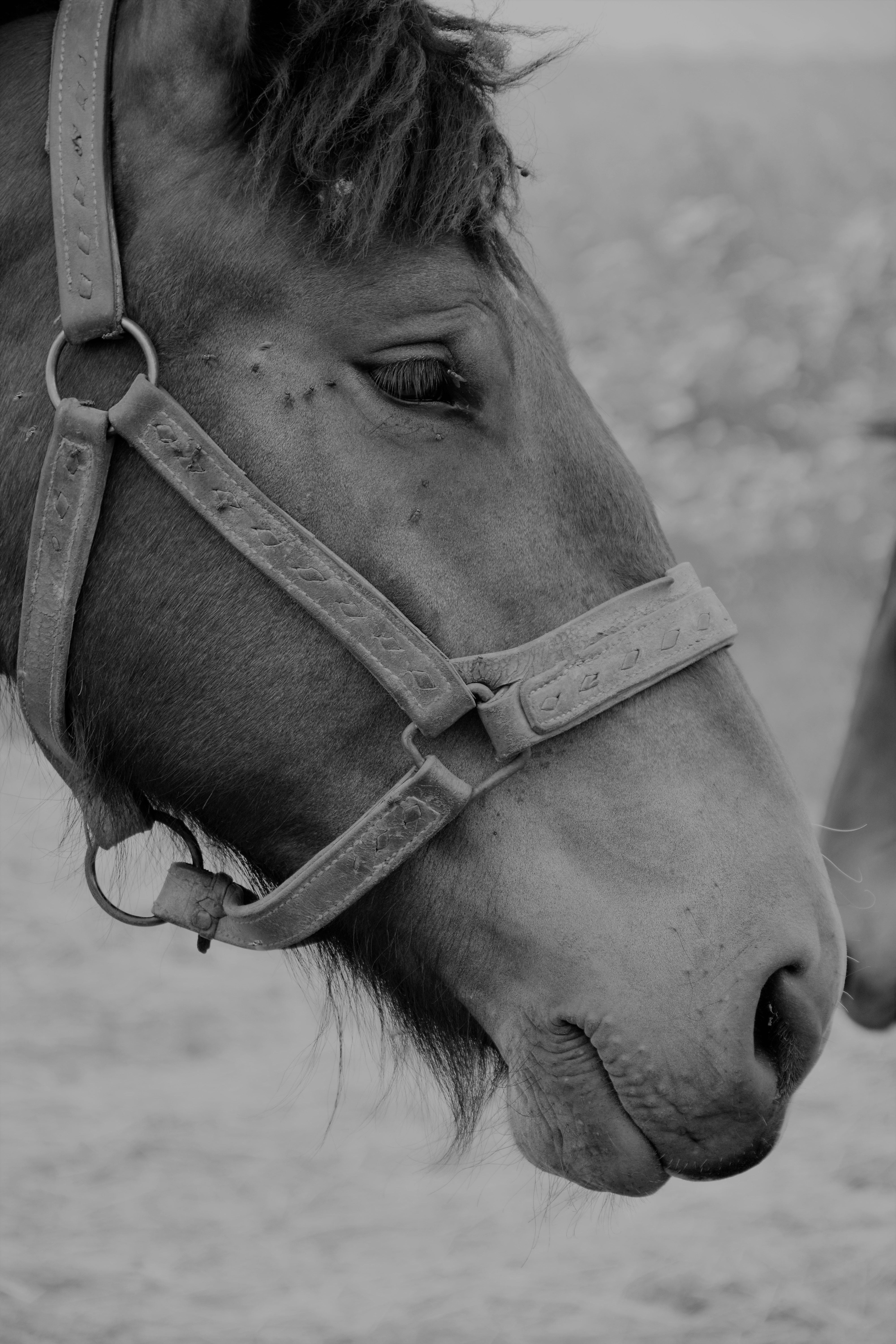 Photo by sabetheodoore