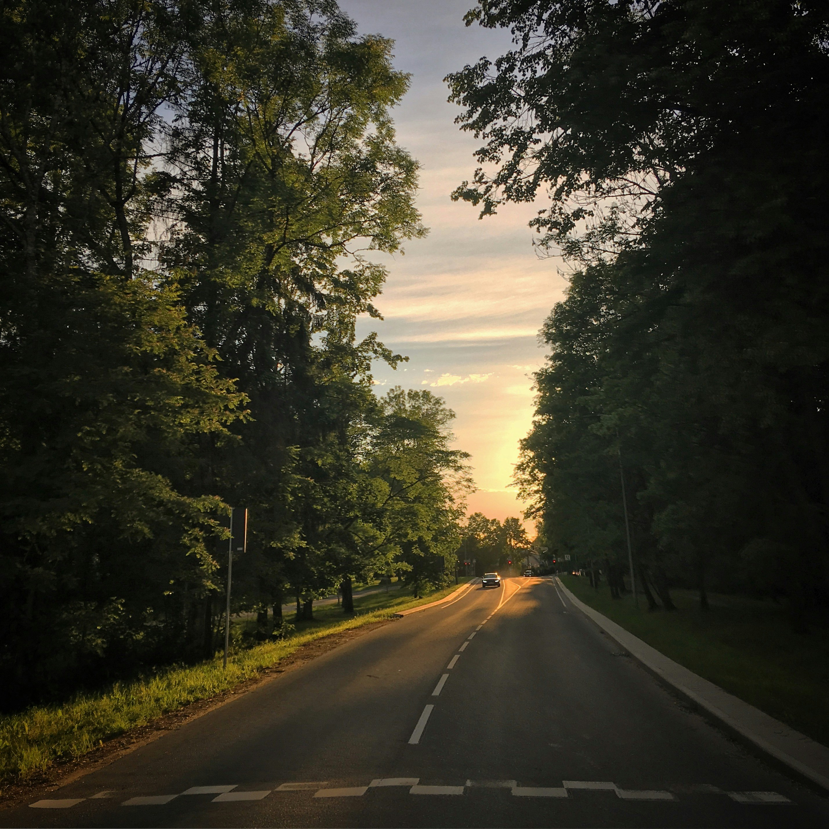 Road through a forest at sunset