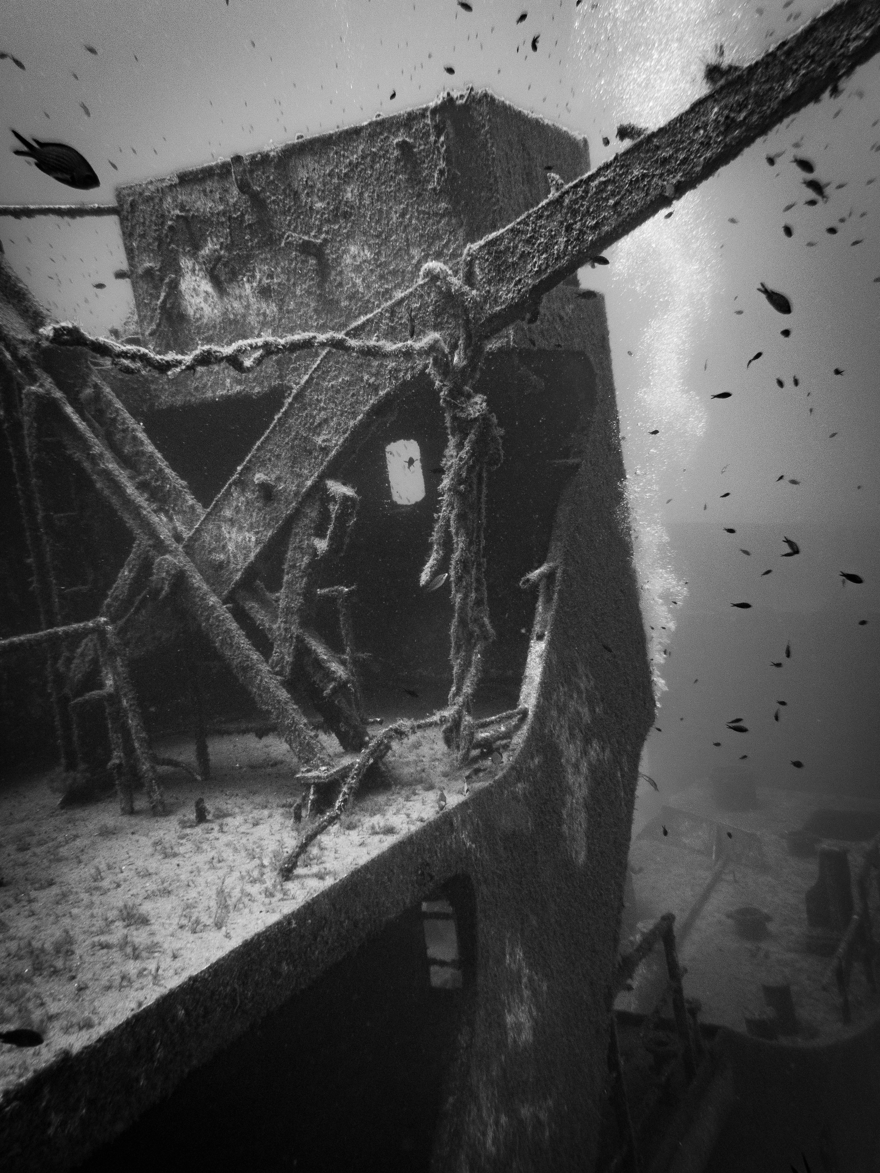 Underwater view of a sunken ship with fish swimming.