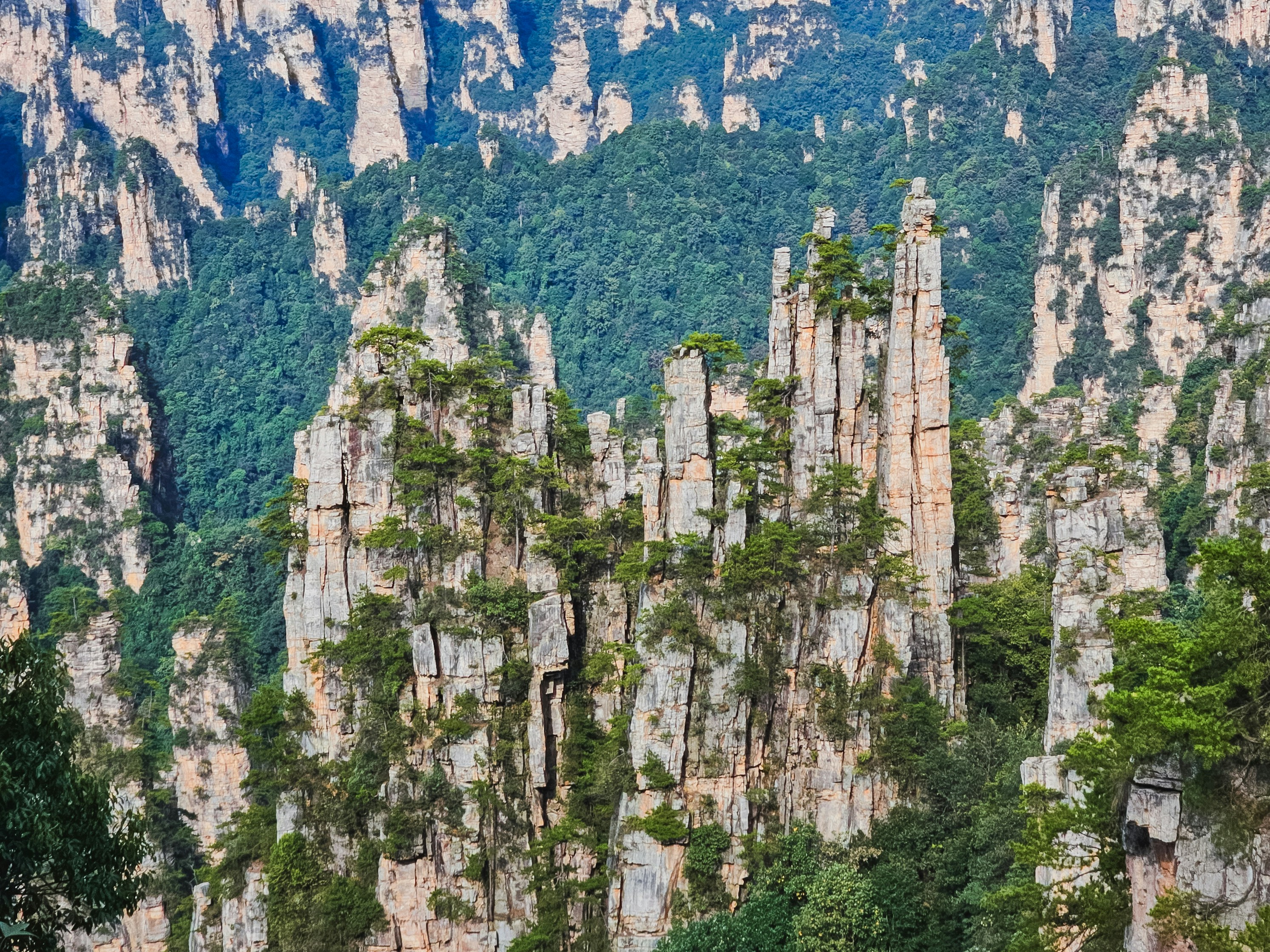 Photo by hypocriteeeee