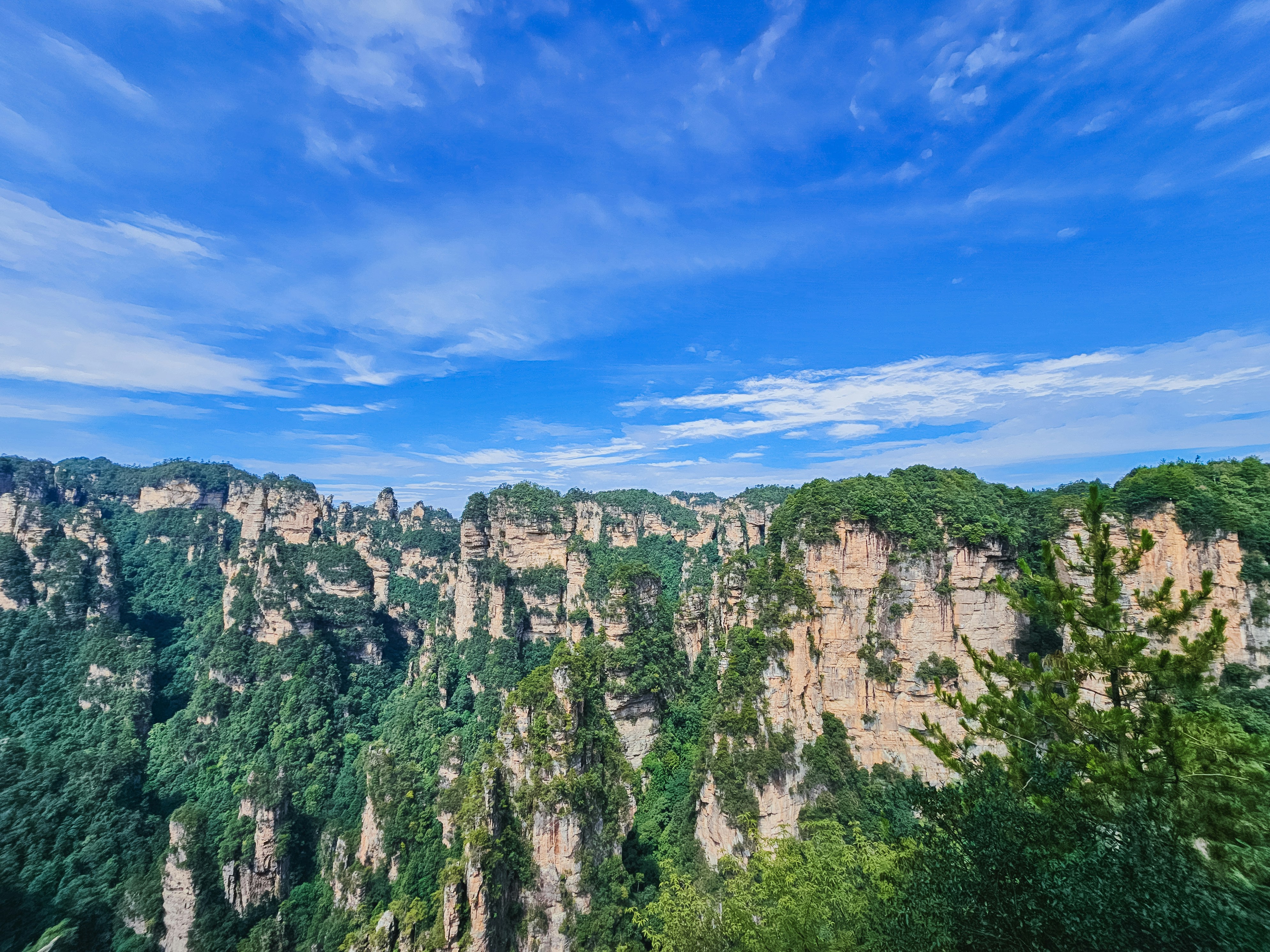 Photo by hypocriteeeee