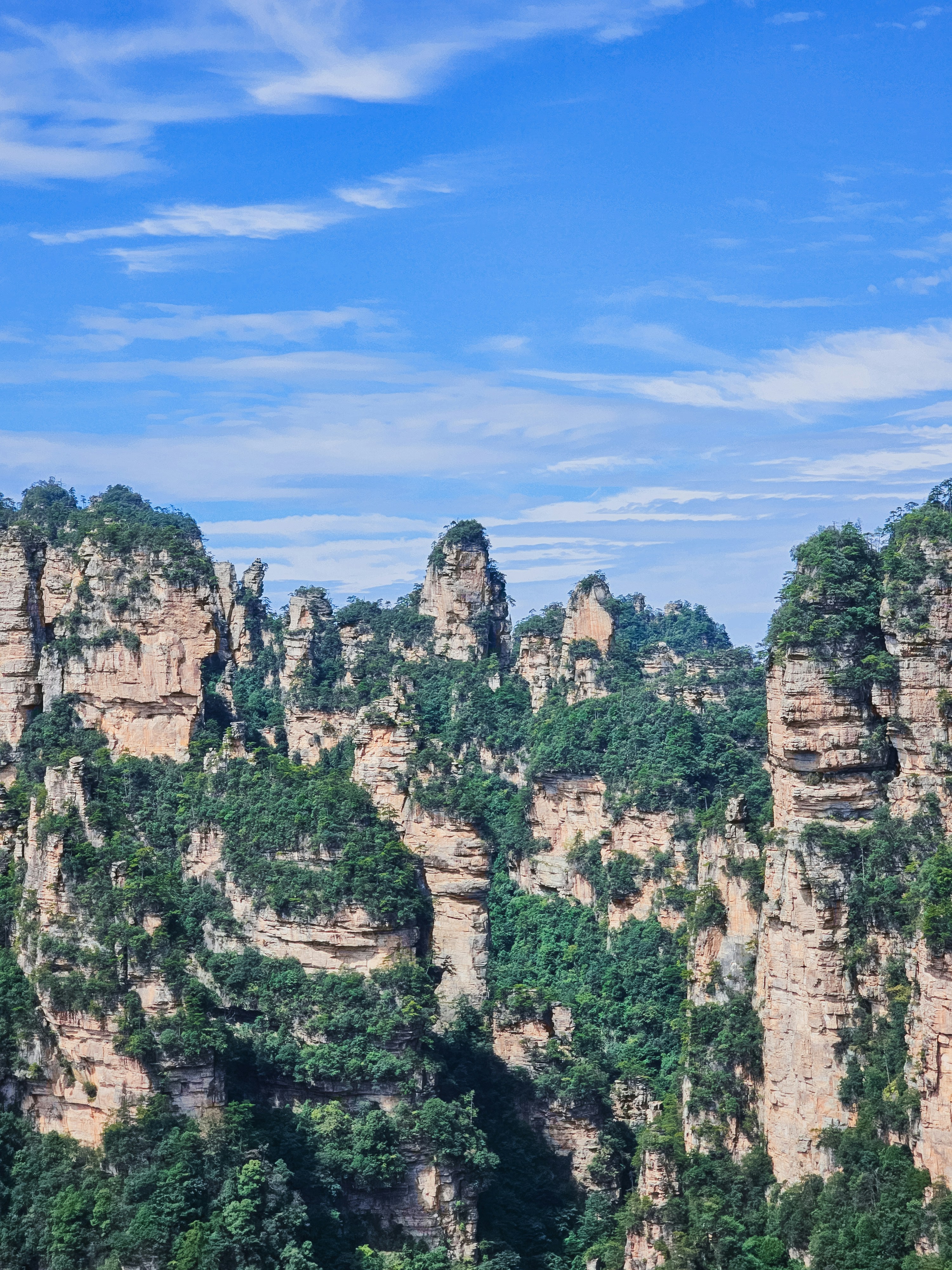 Photo by hypocriteeeee