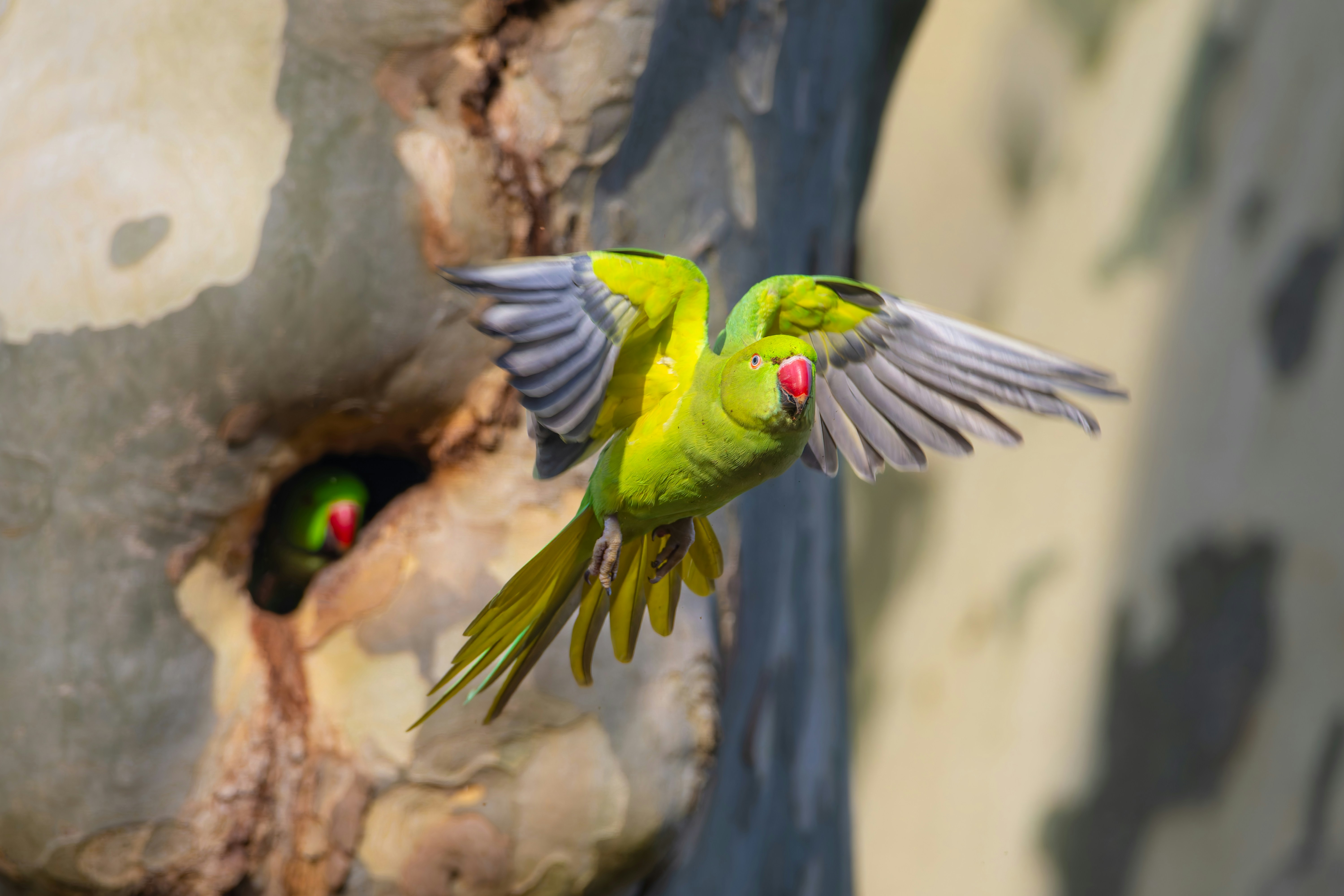 Photo by siegfriedpoepperl