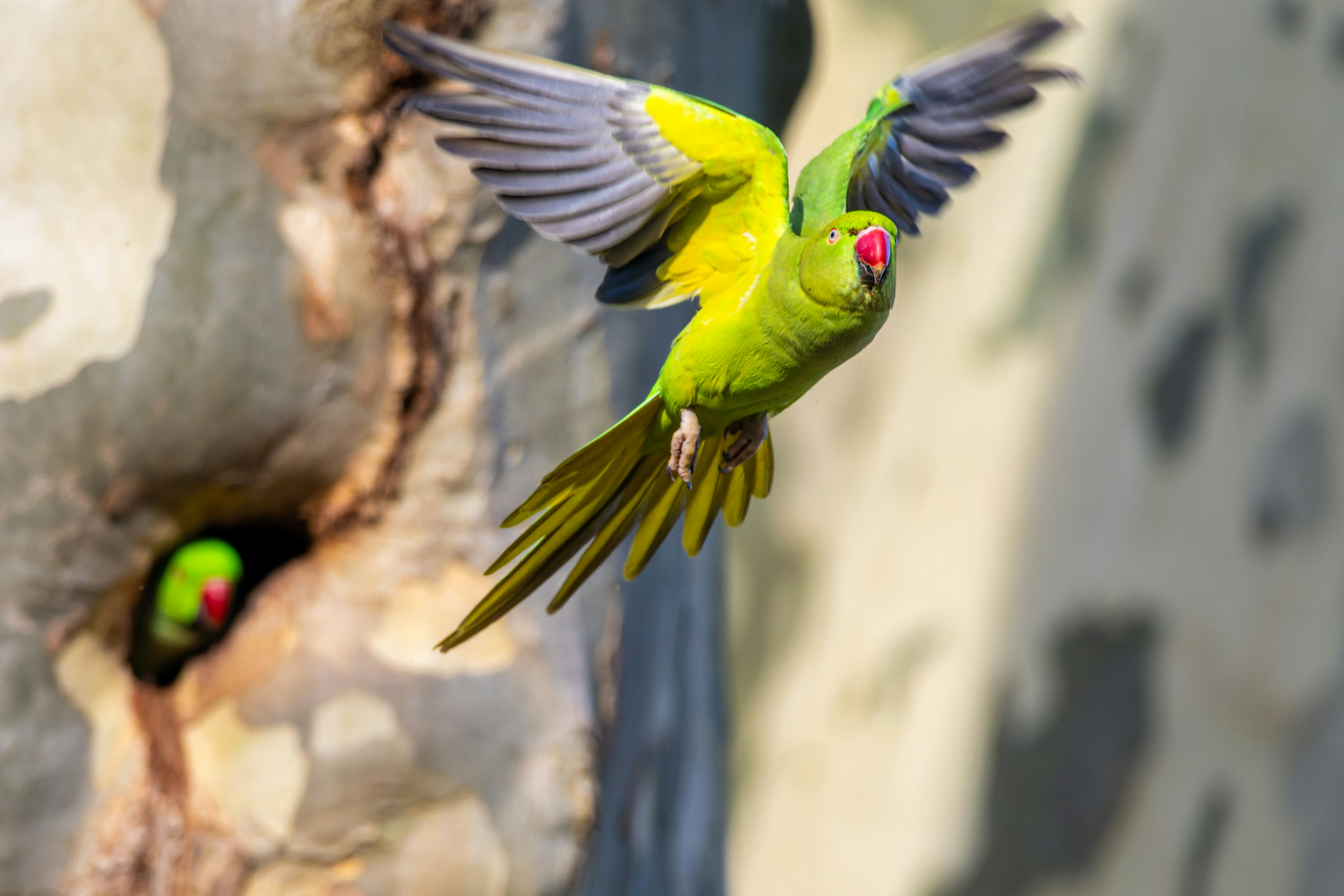 Photo by siegfriedpoepperl