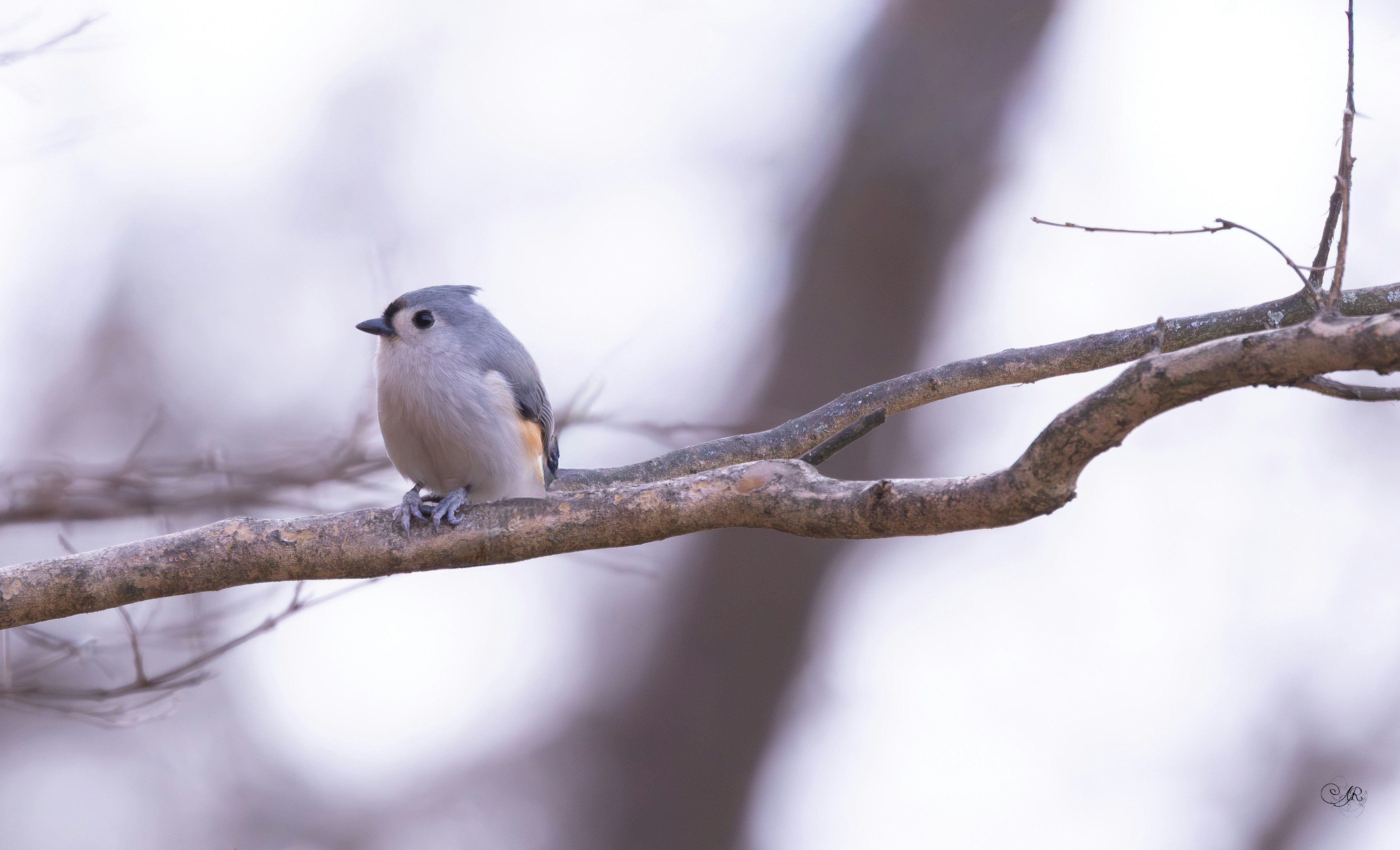 Photo by grimnir35mm