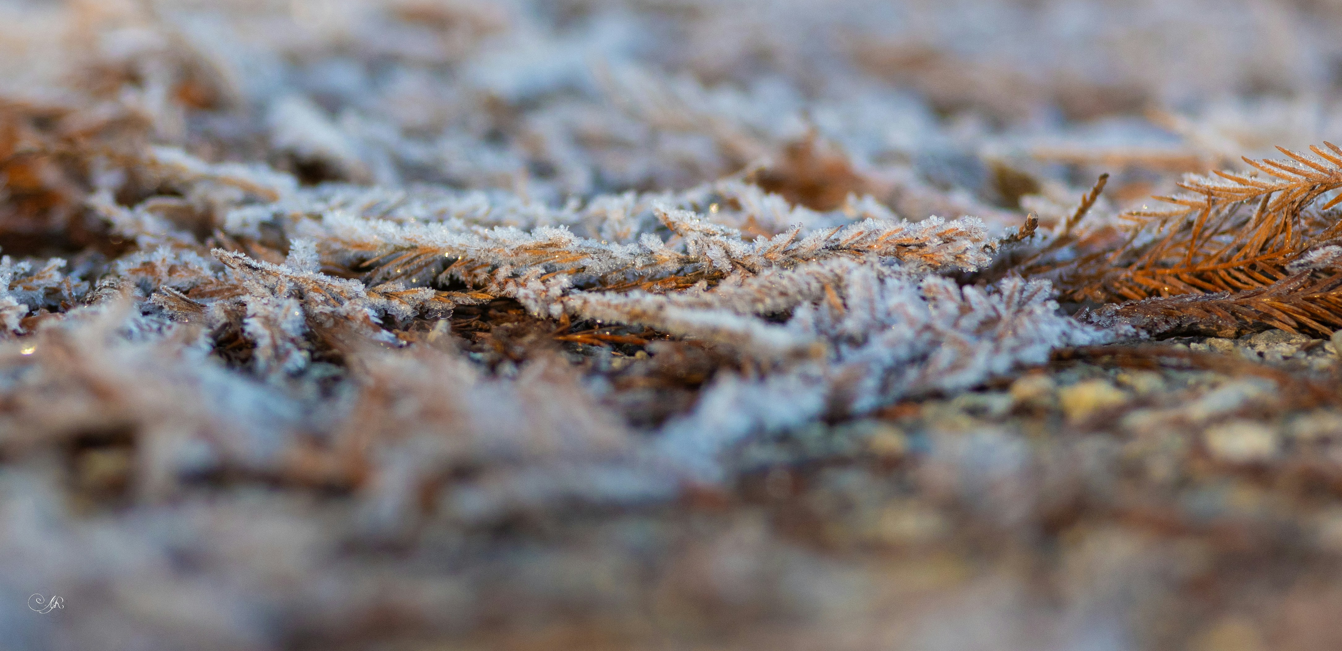 Photo by grimnir35mm