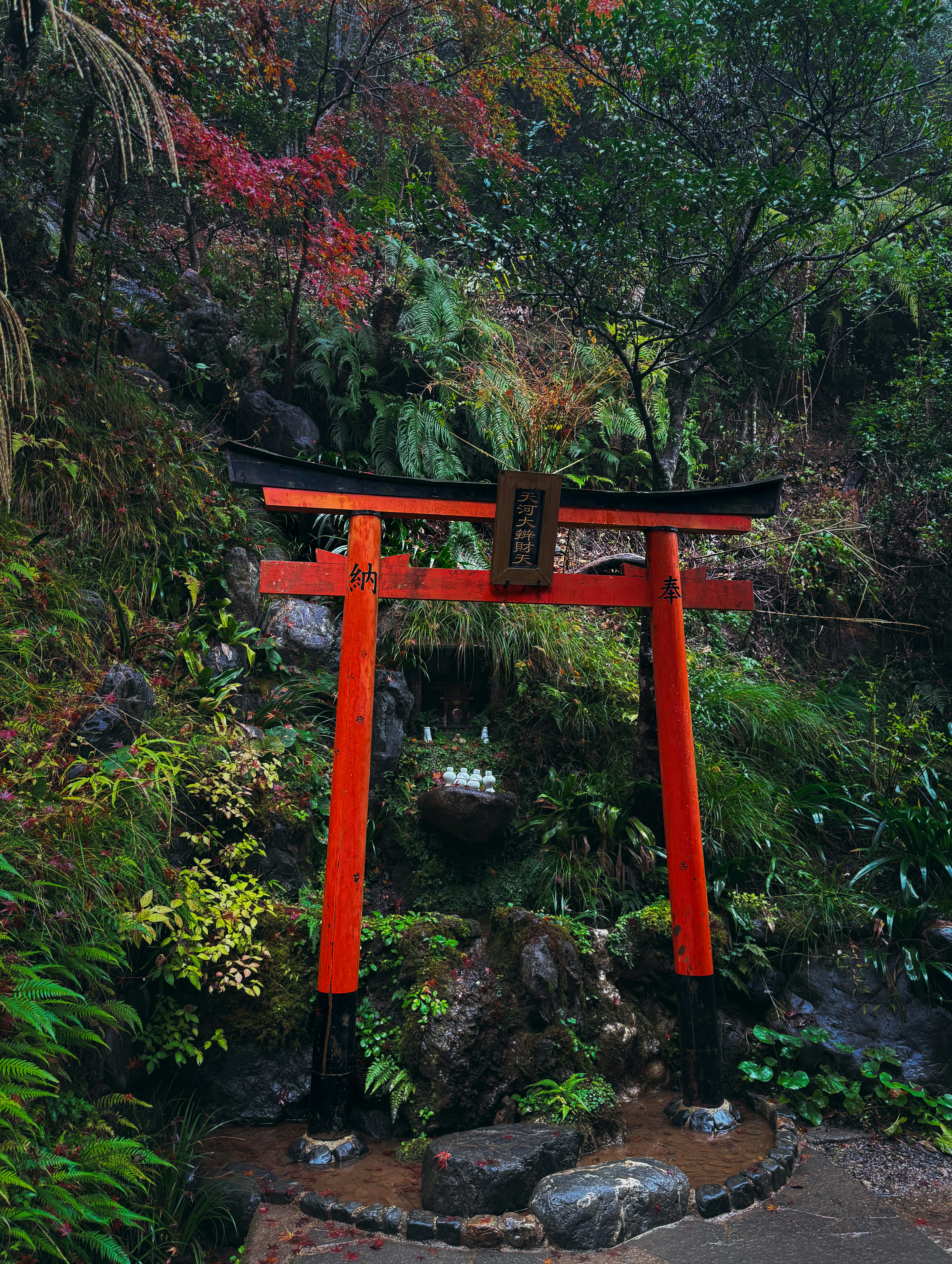 Photo by katekasiutich