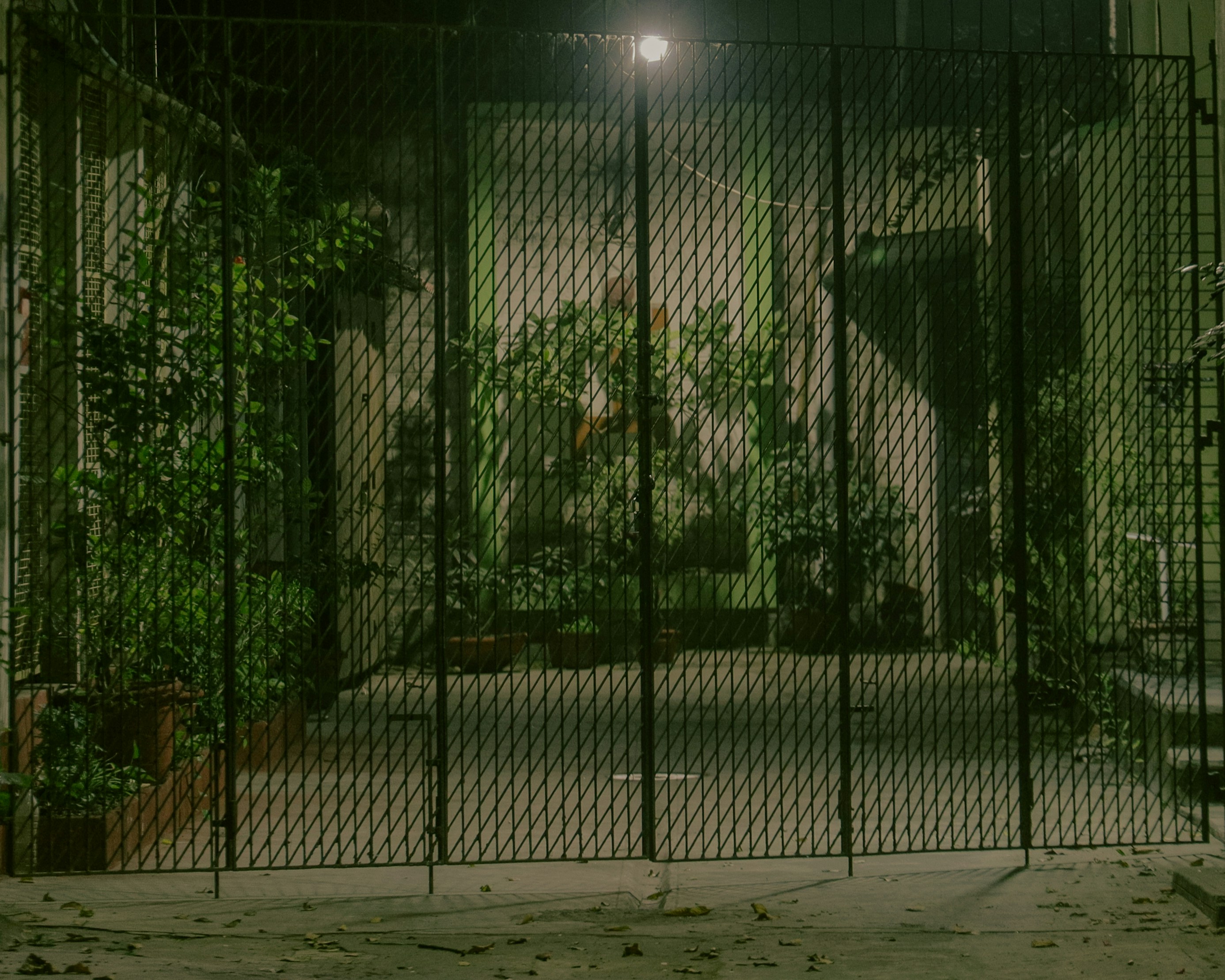 Photo by amaanabidhussain