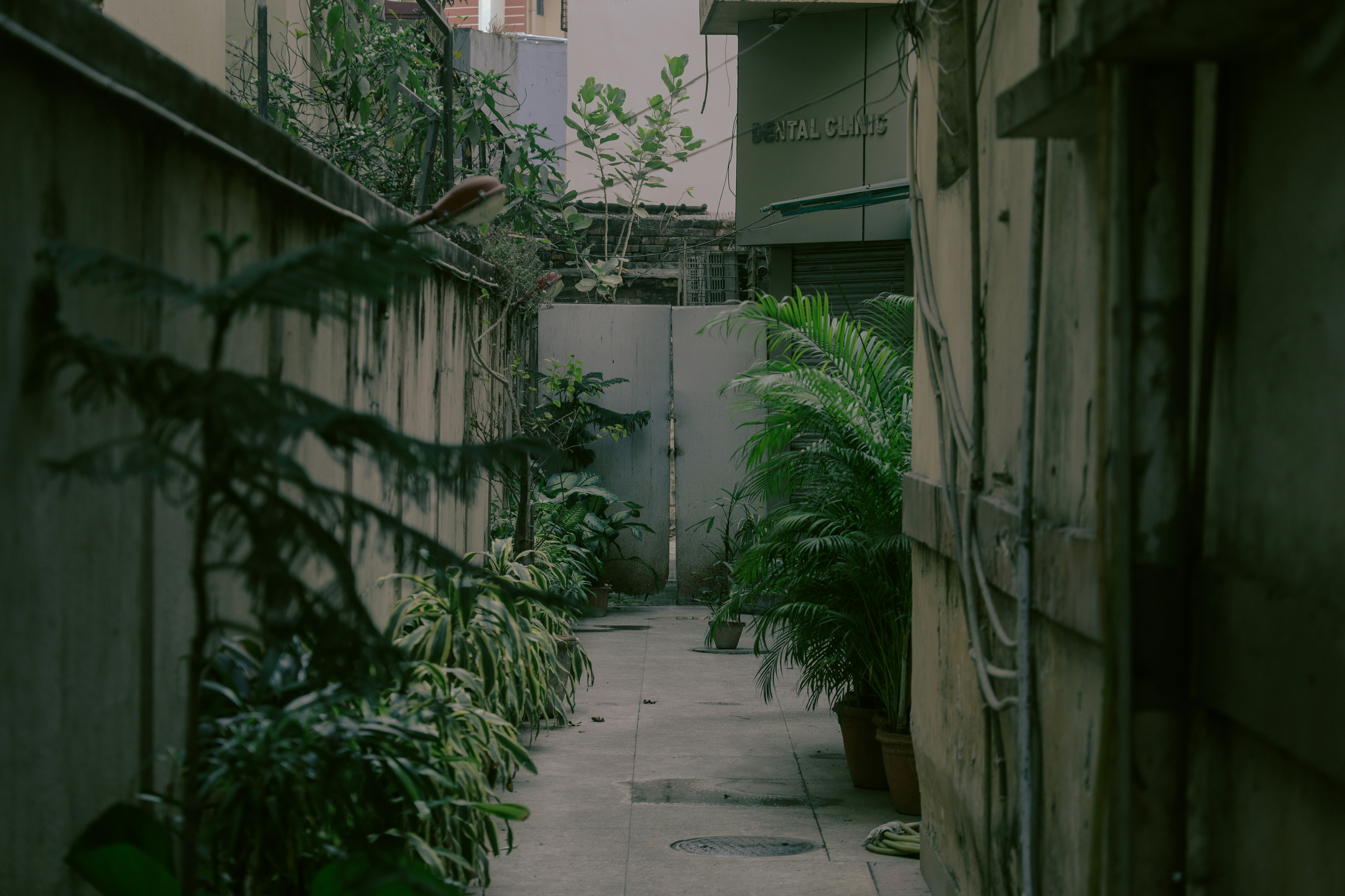 Photo by amaanabidhussain