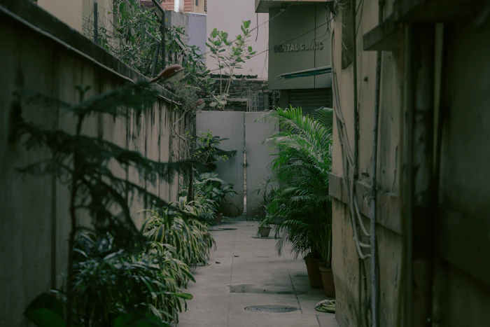 Hidden Attractions