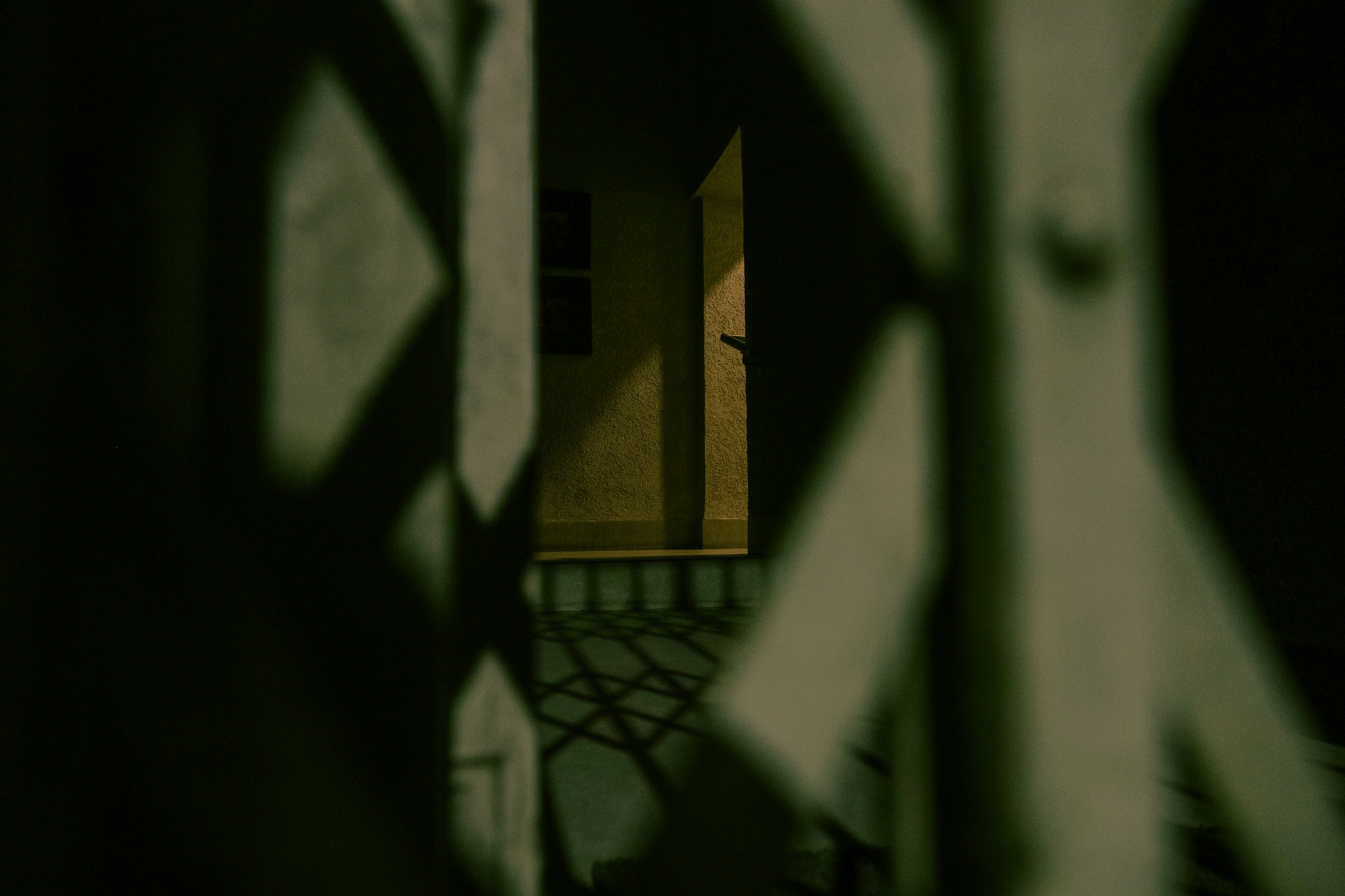 Photo by amaanabidhussain