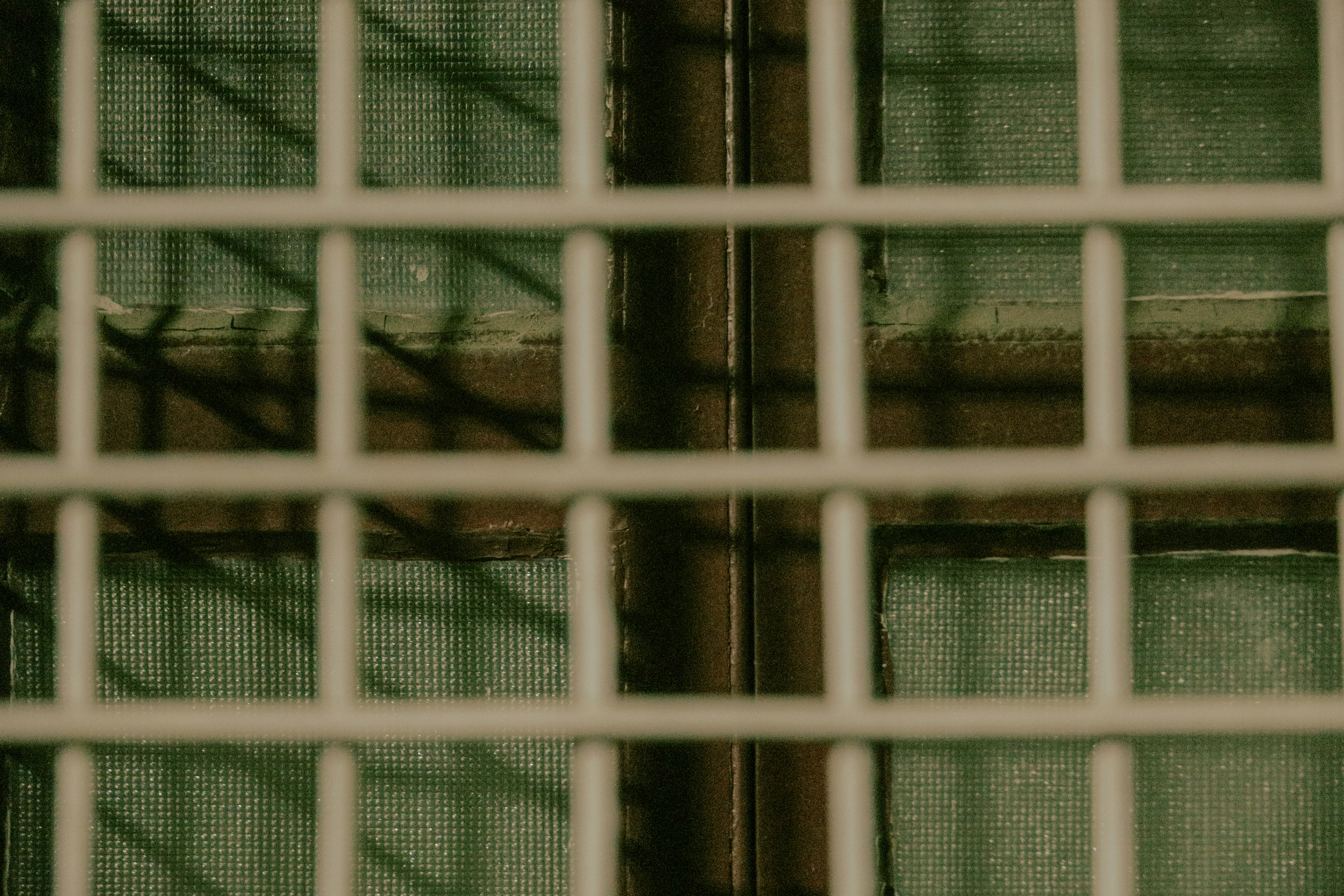 Photo by amaanabidhussain