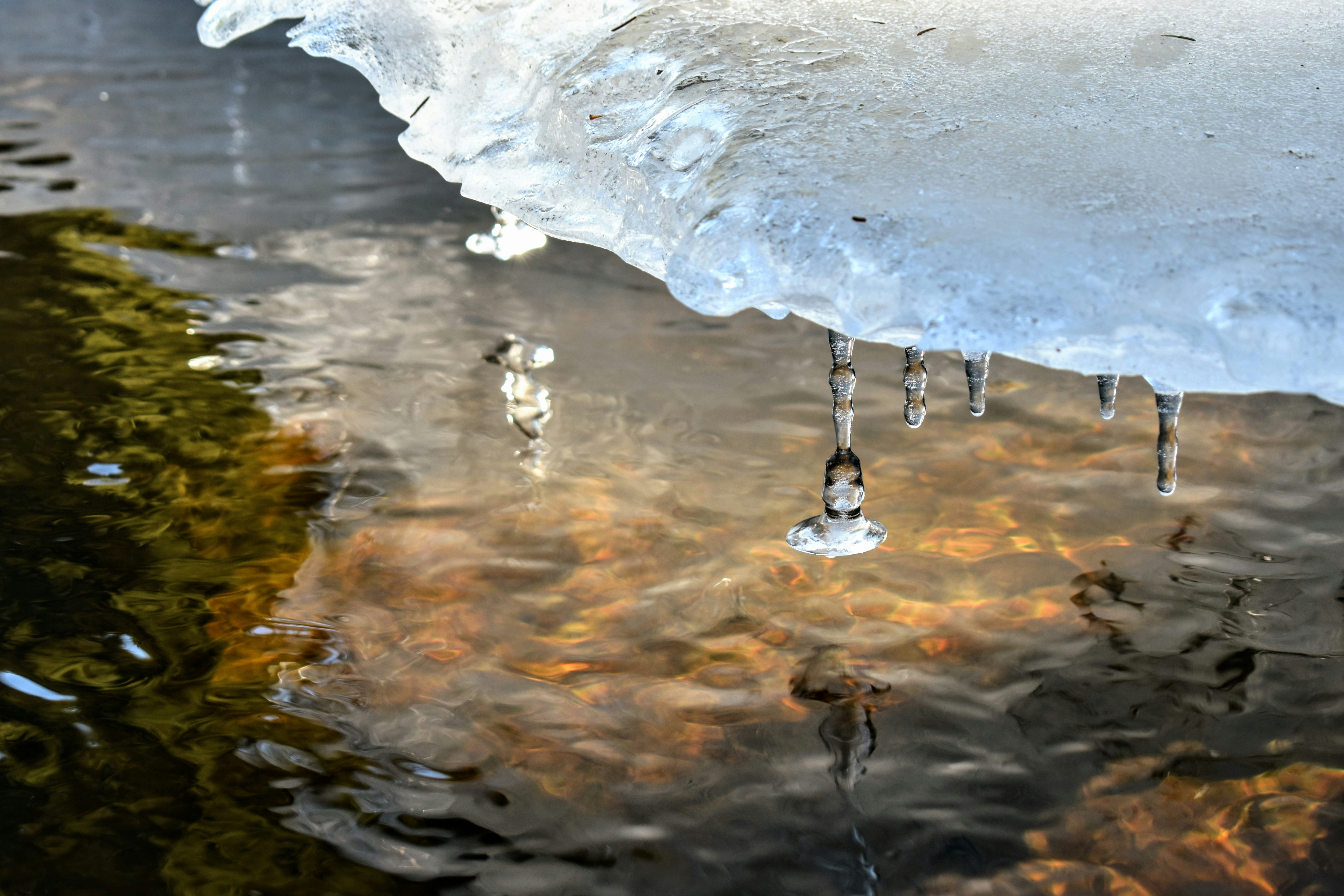 Photo by hejpetrpepa