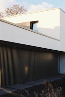 Modern white house with dark vertical siding