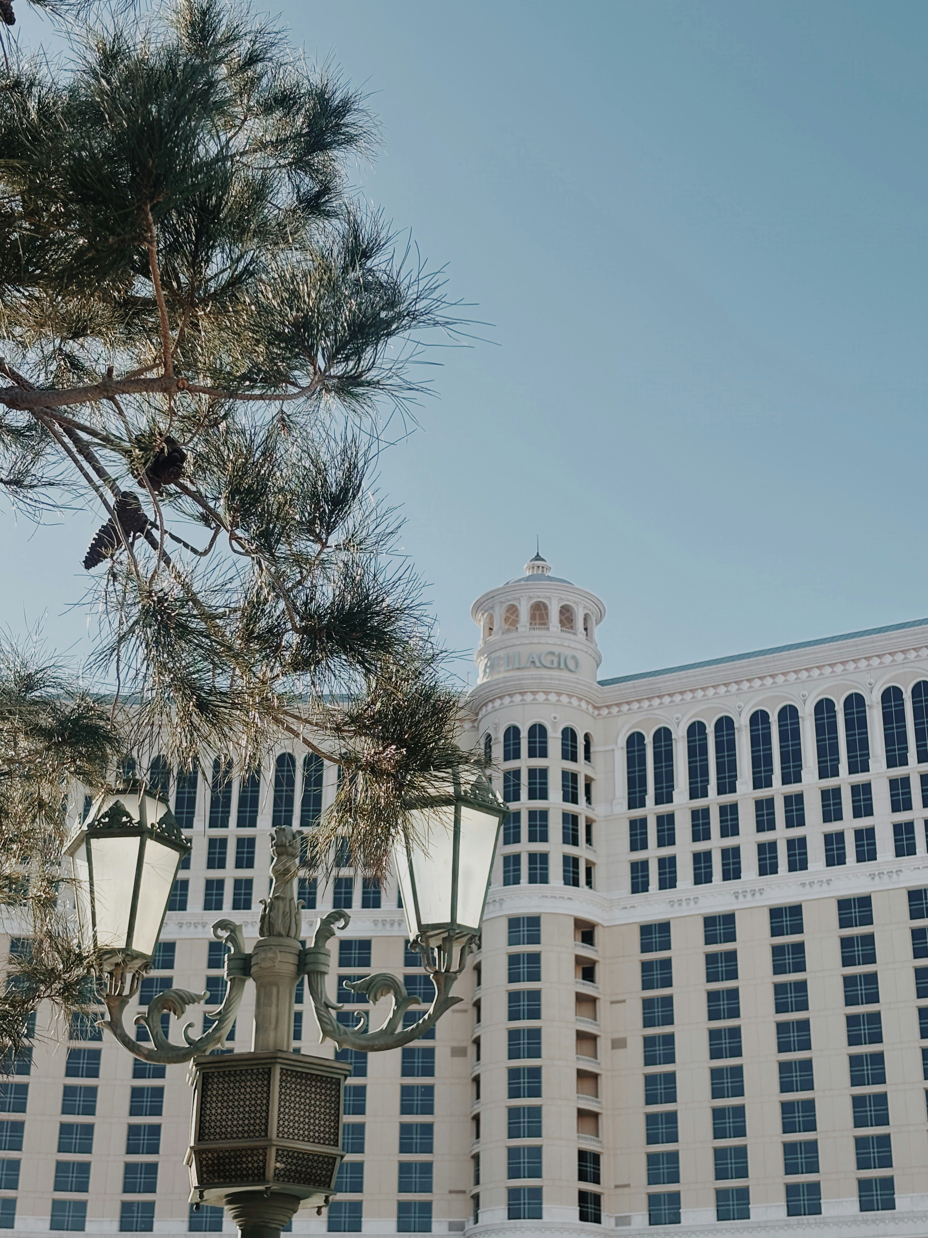 Edifício elegante com postes de luz ornamentados e árvore