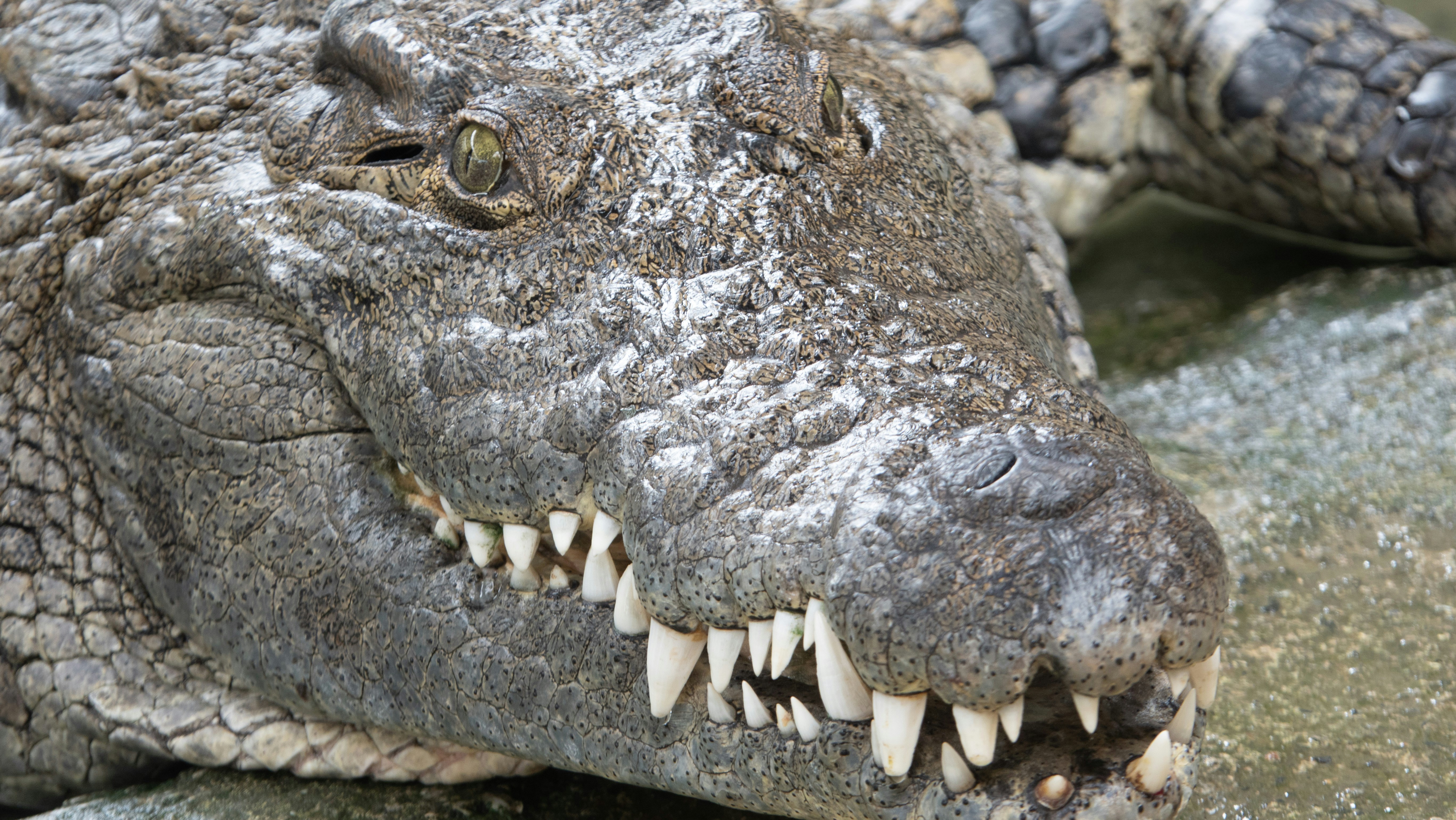 Photo by joseph90rcg