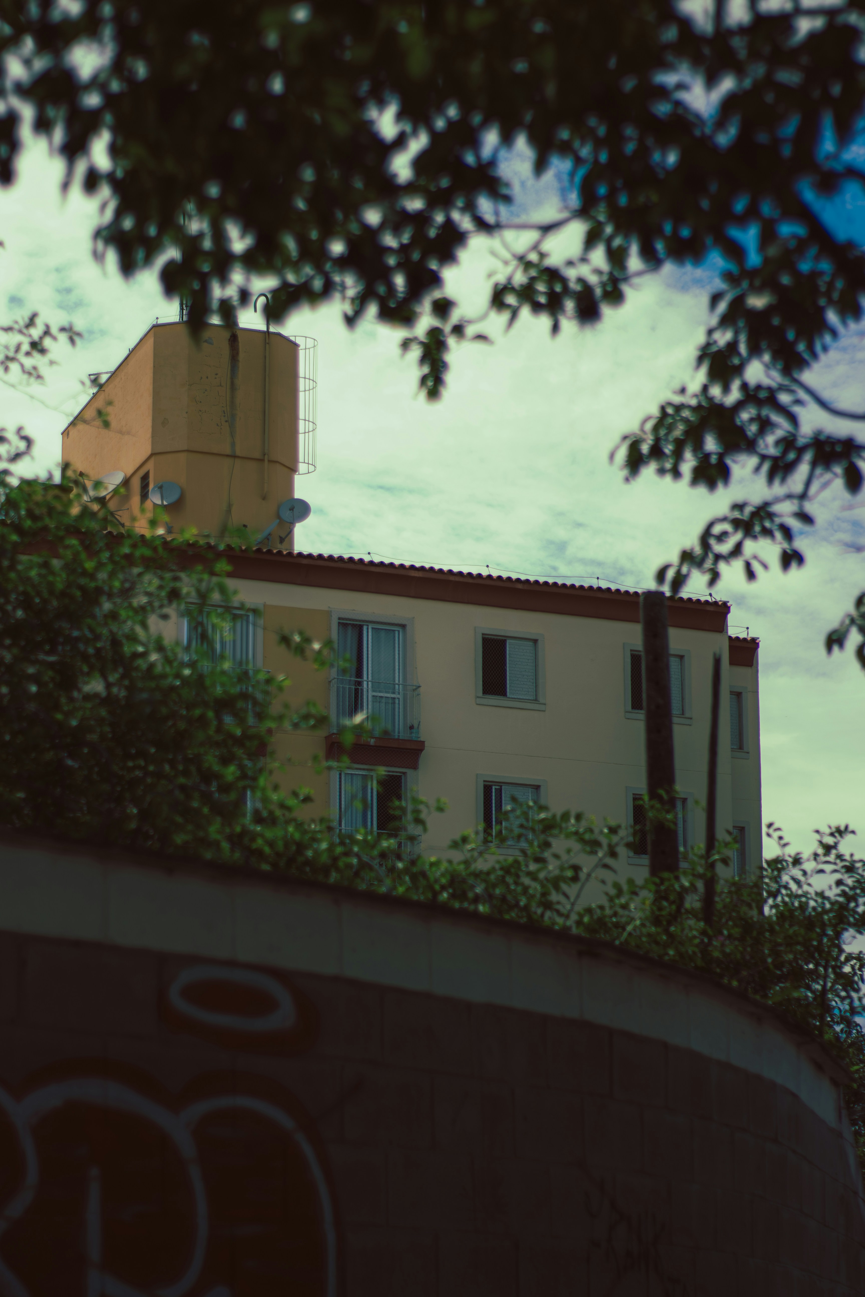 Photo by matheuscosta111