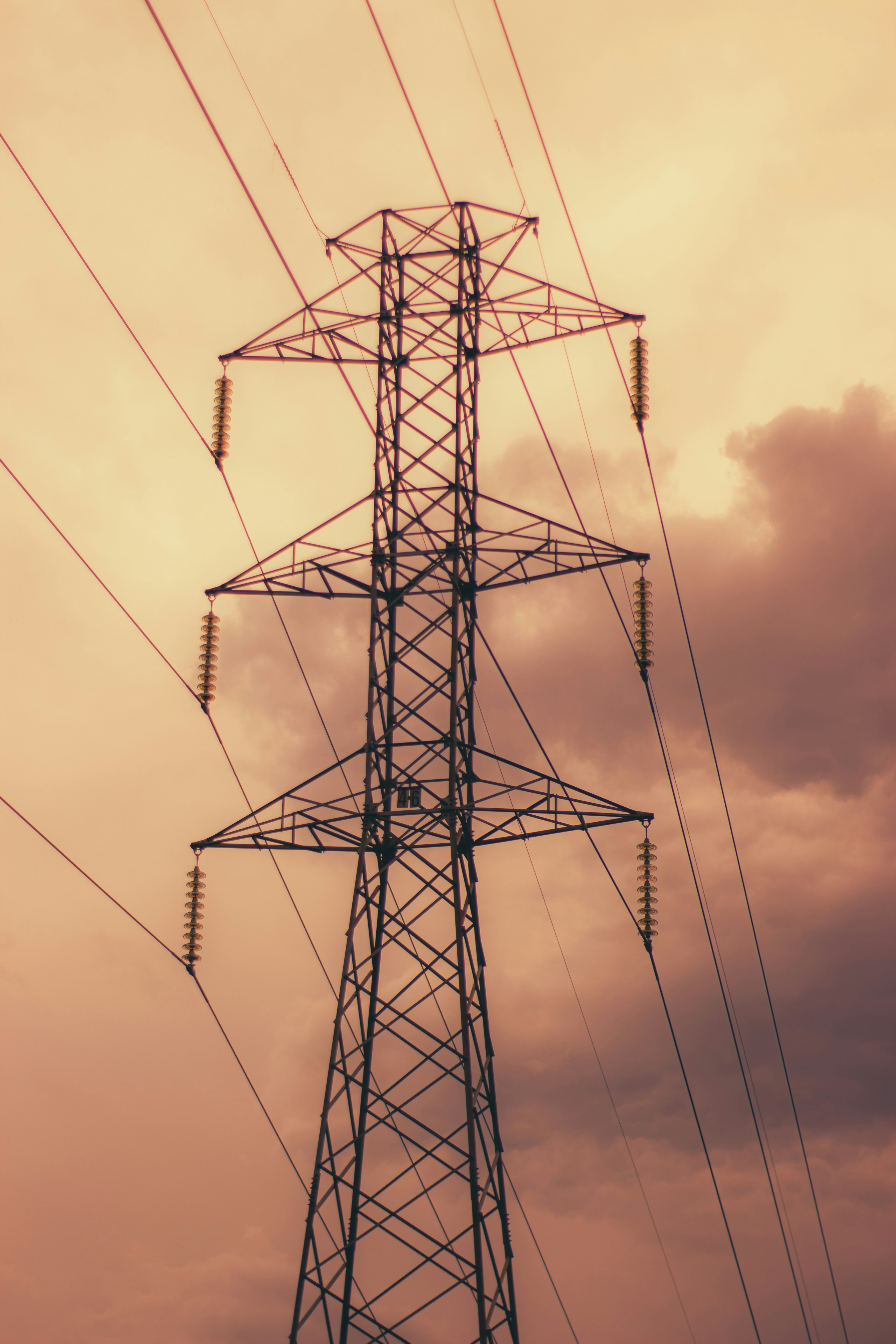 Photo by matheuscosta111