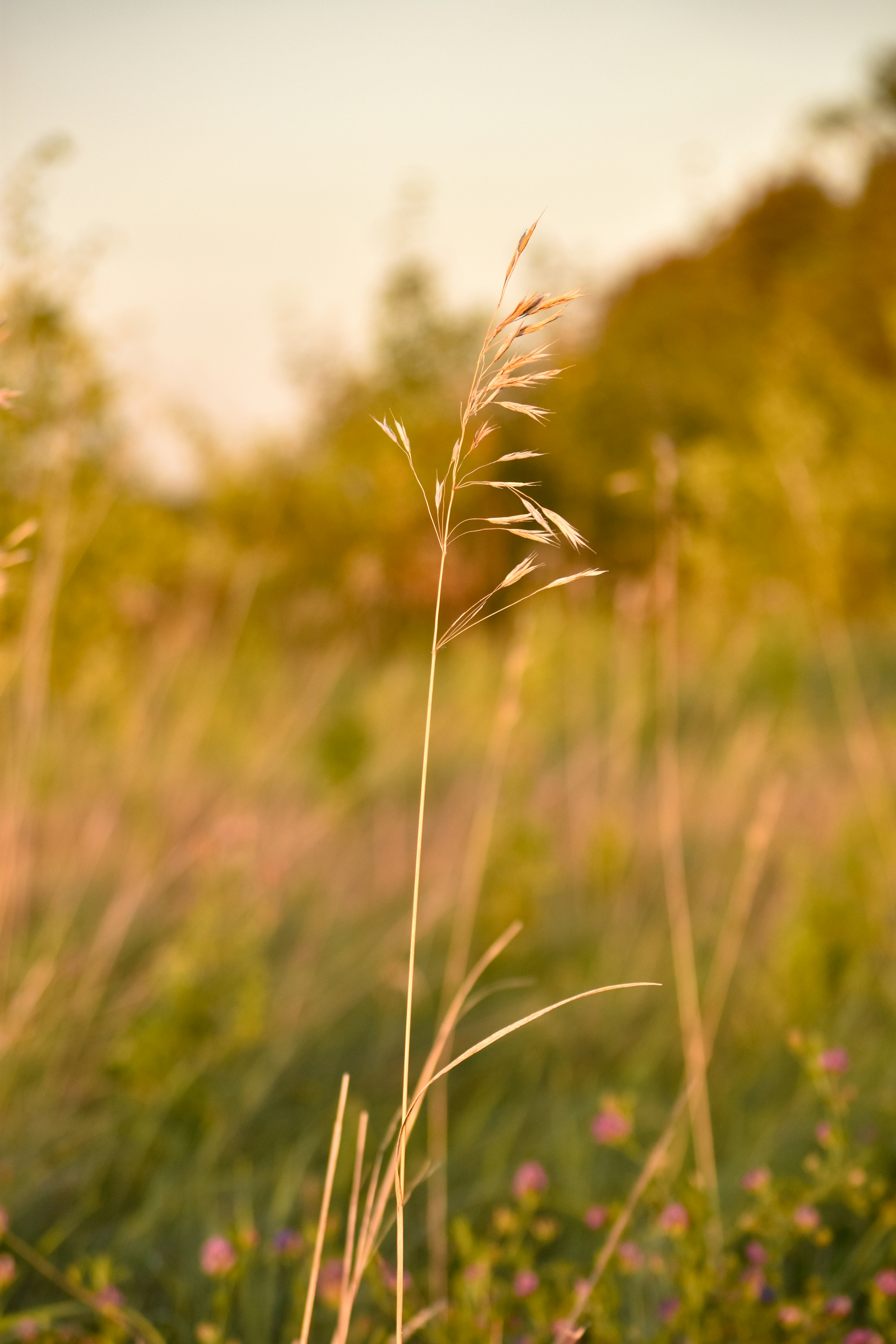 Photo by deandrabeaudry