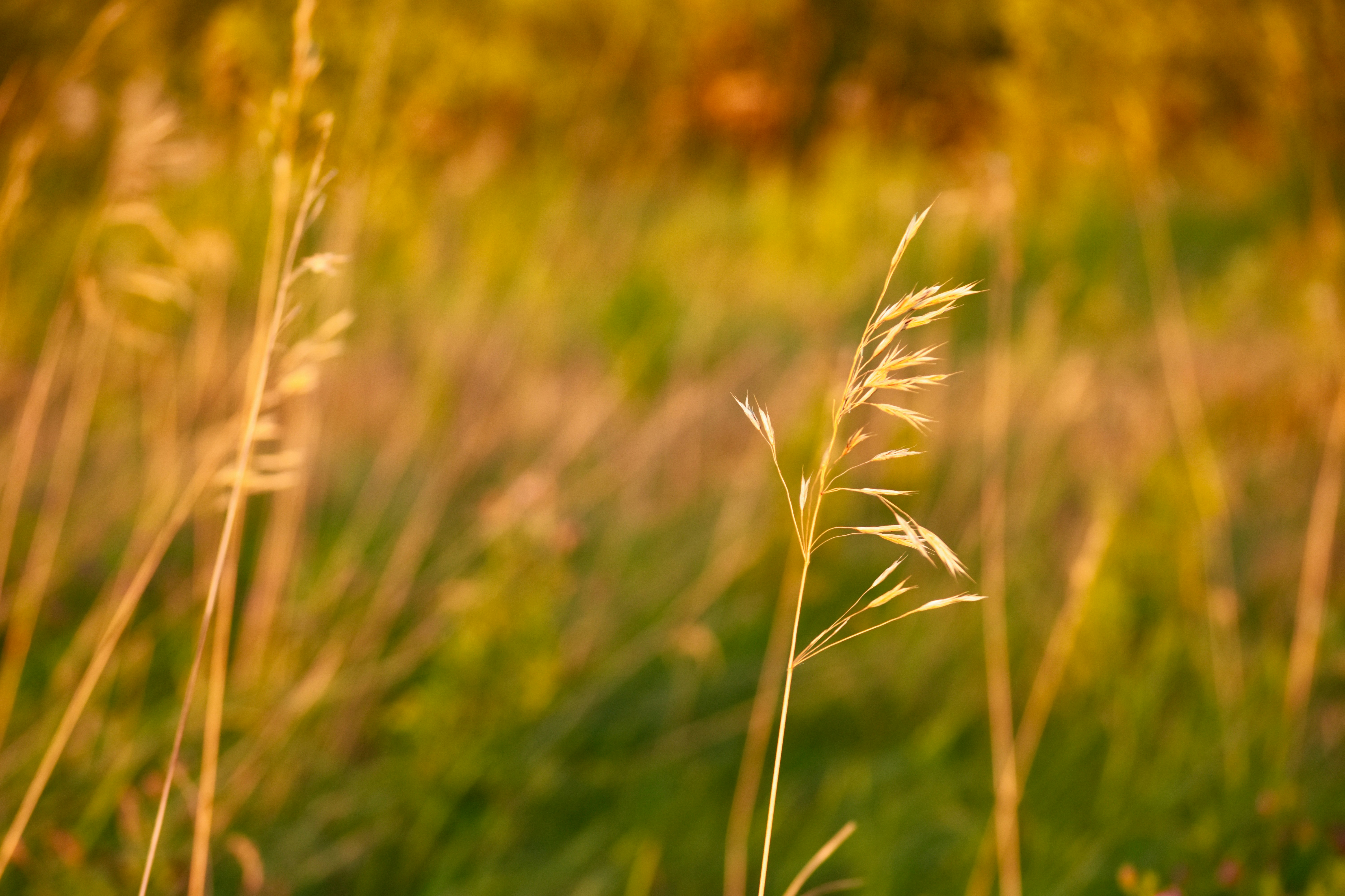 Photo by deandrabeaudry