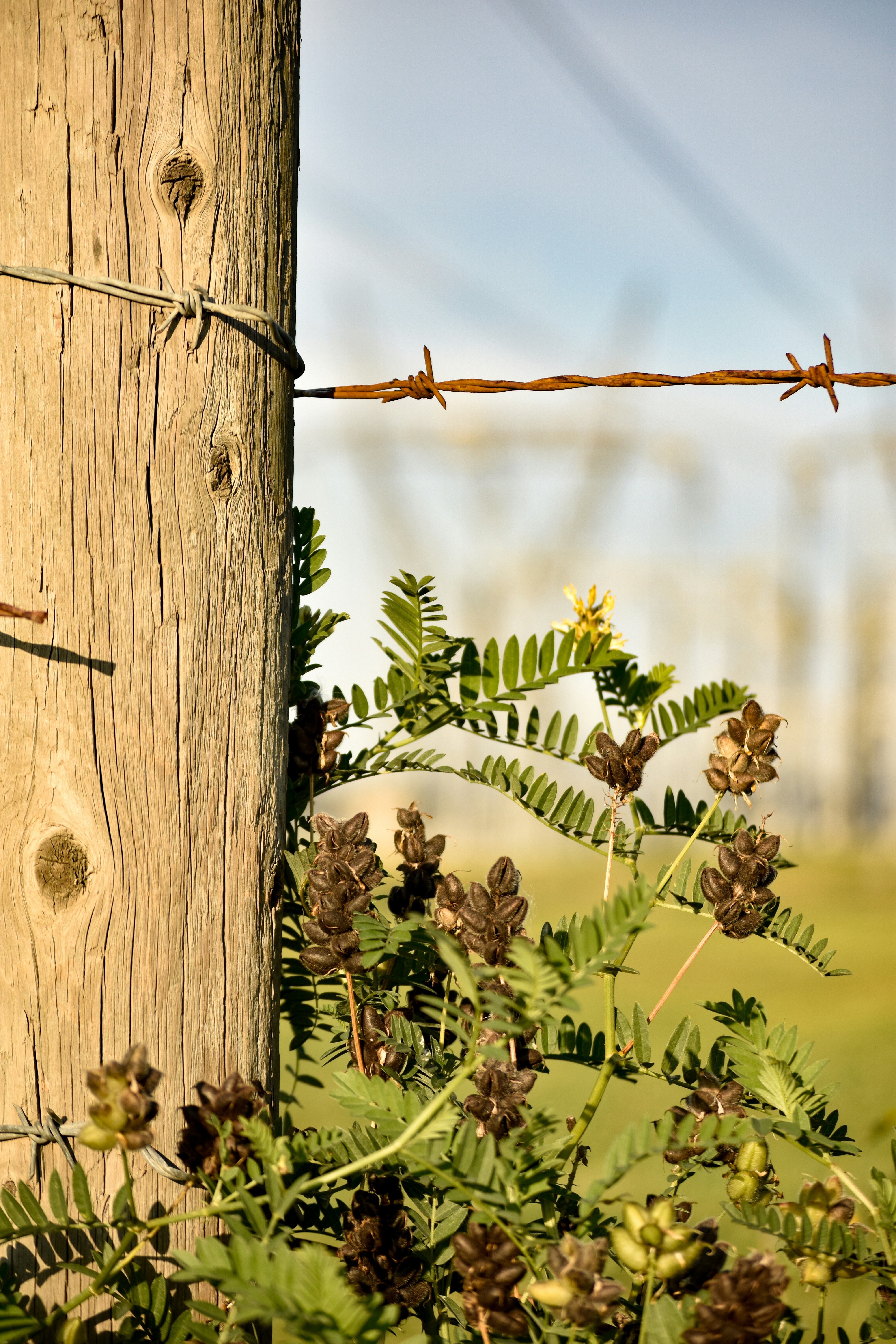 Photo by deandrabeaudry