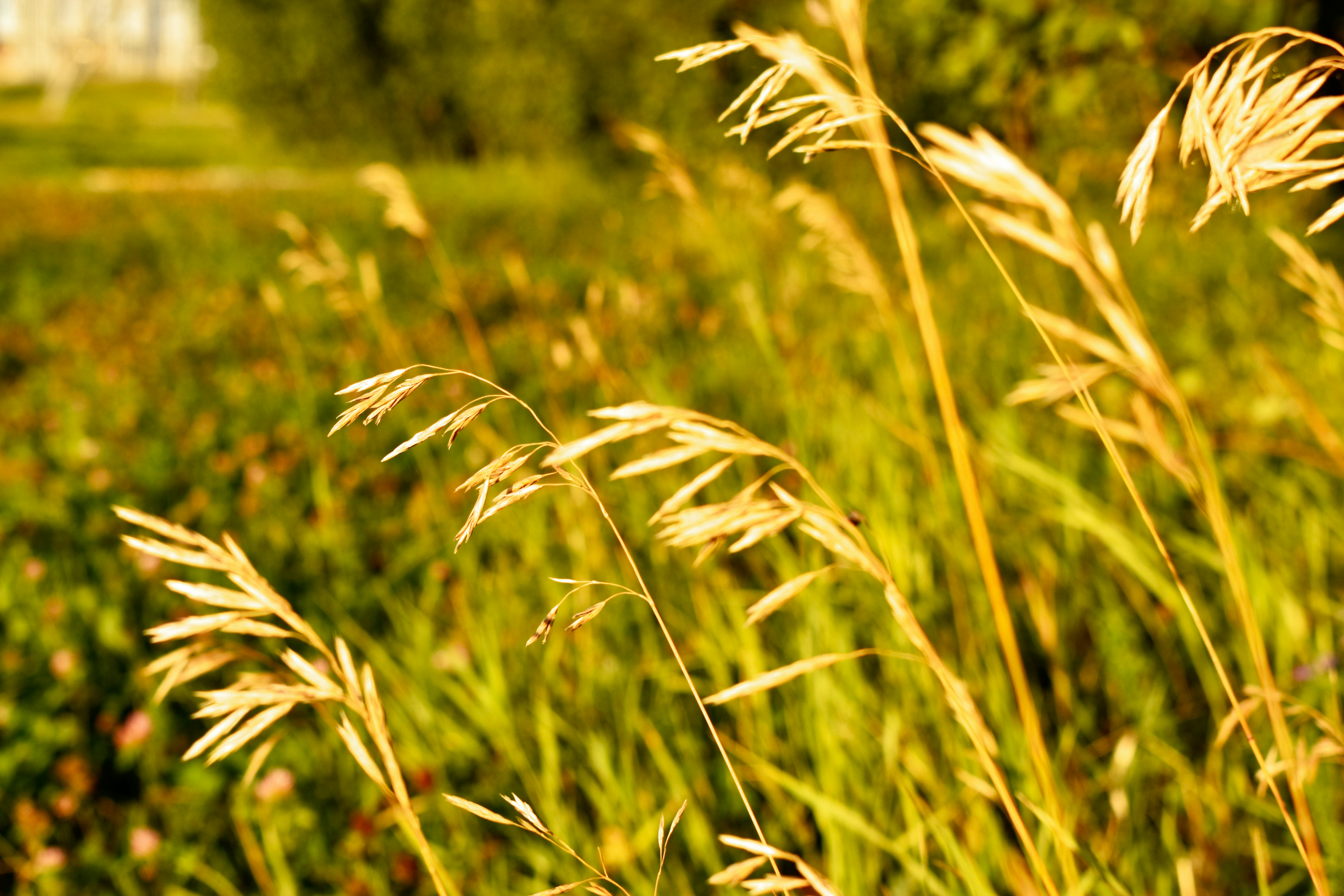 Photo by deandrabeaudry