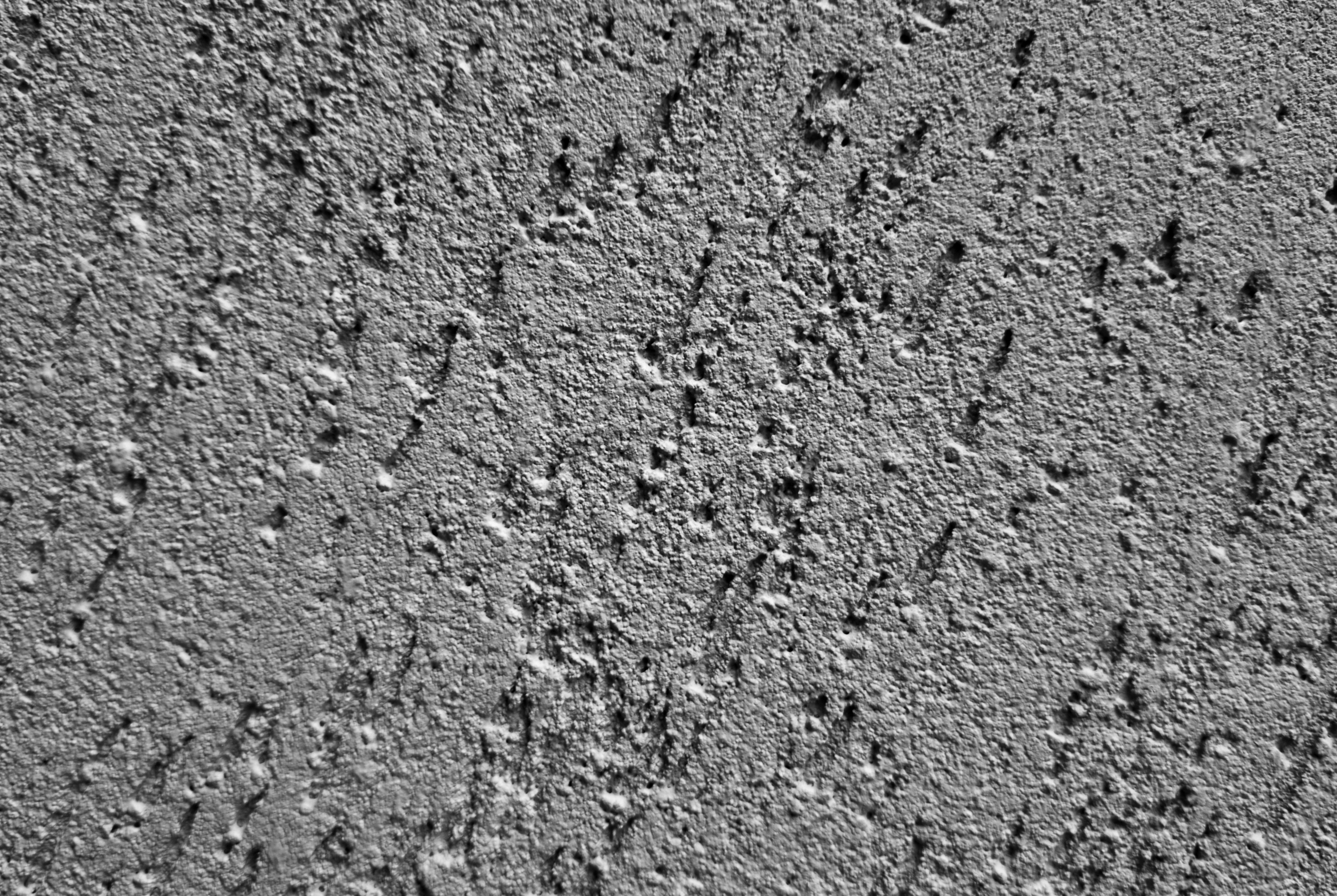 Photo by zoshuacolah