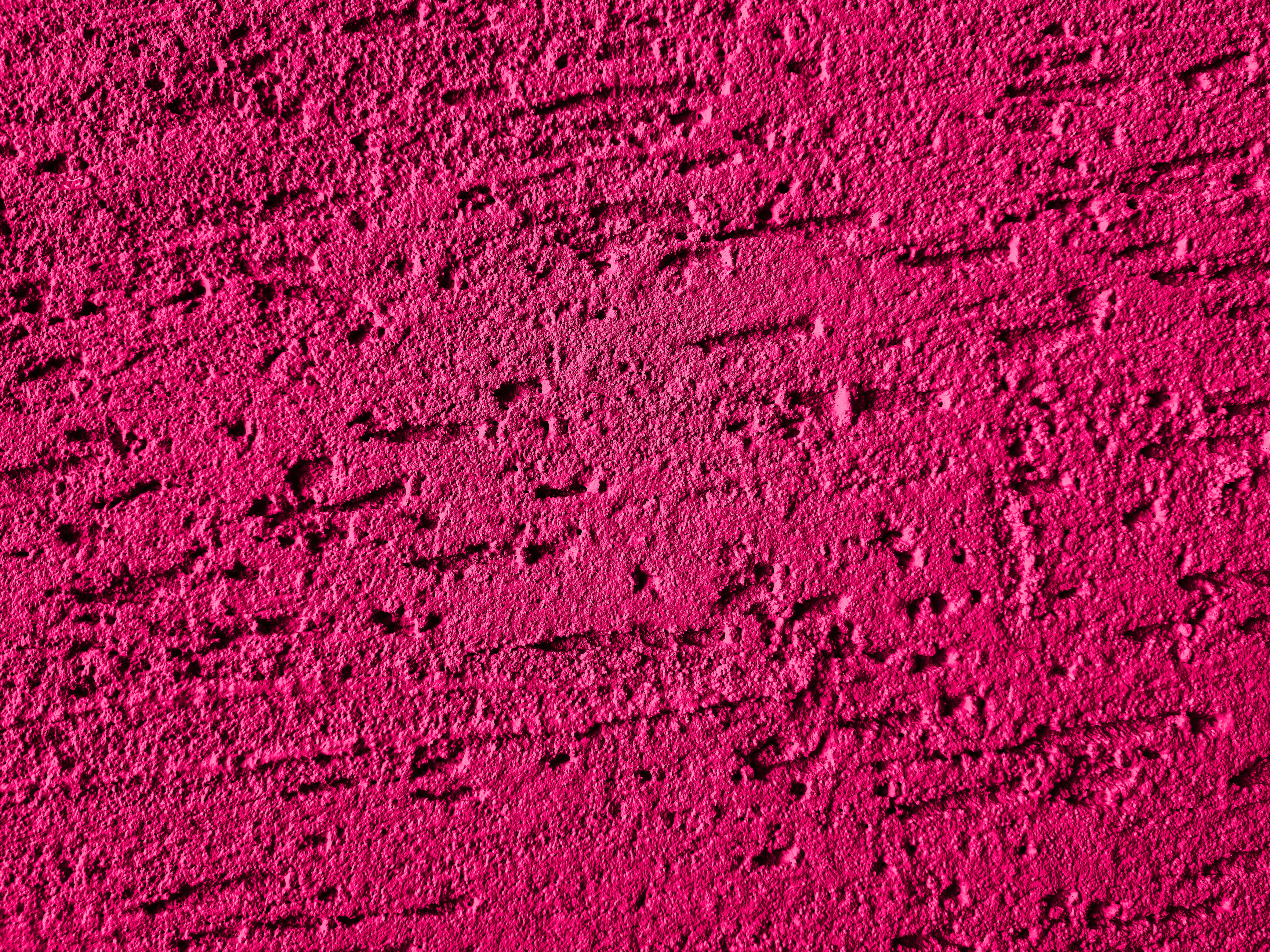 Photo by zoshuacolah