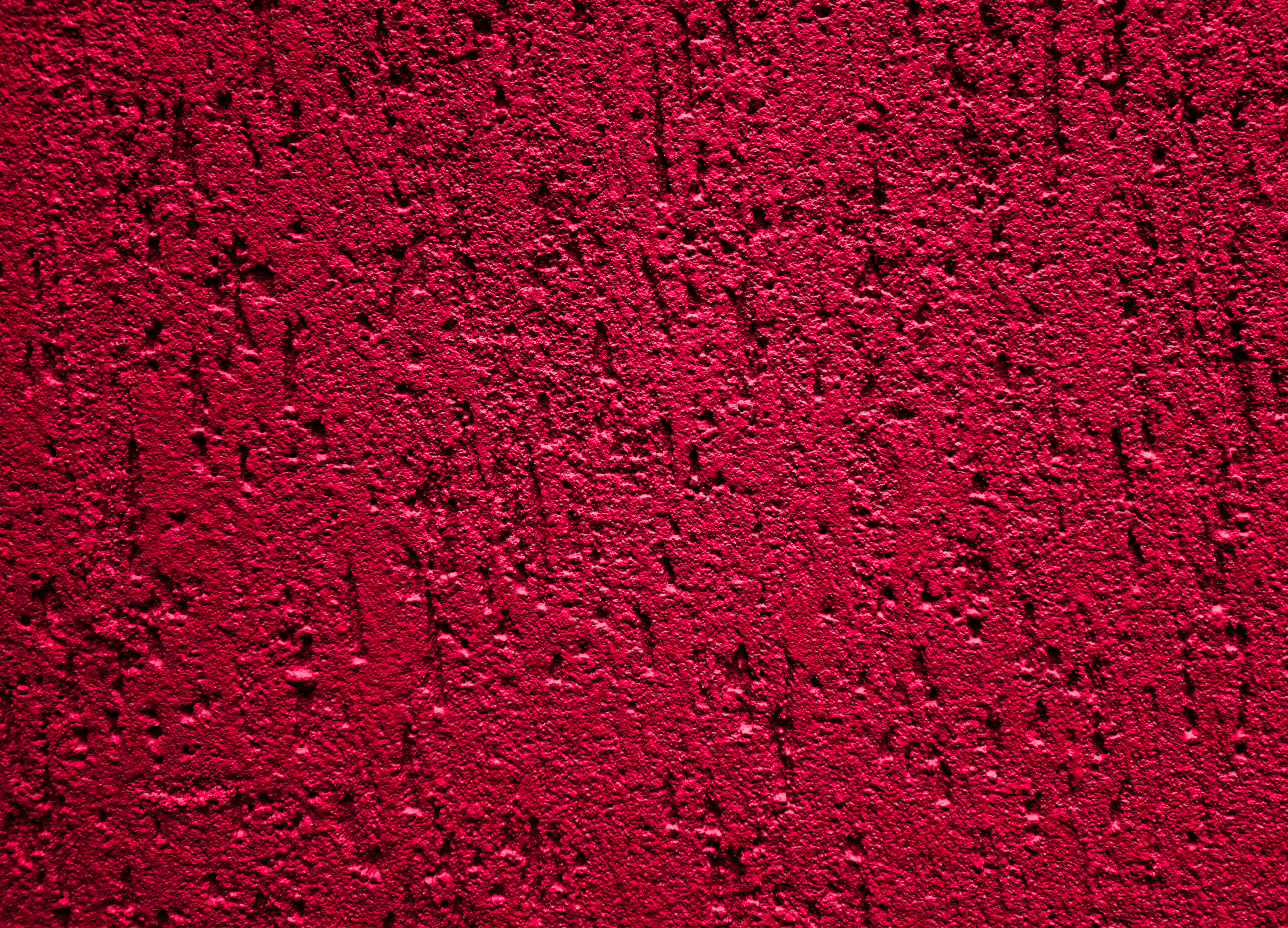 Photo by zoshuacolah