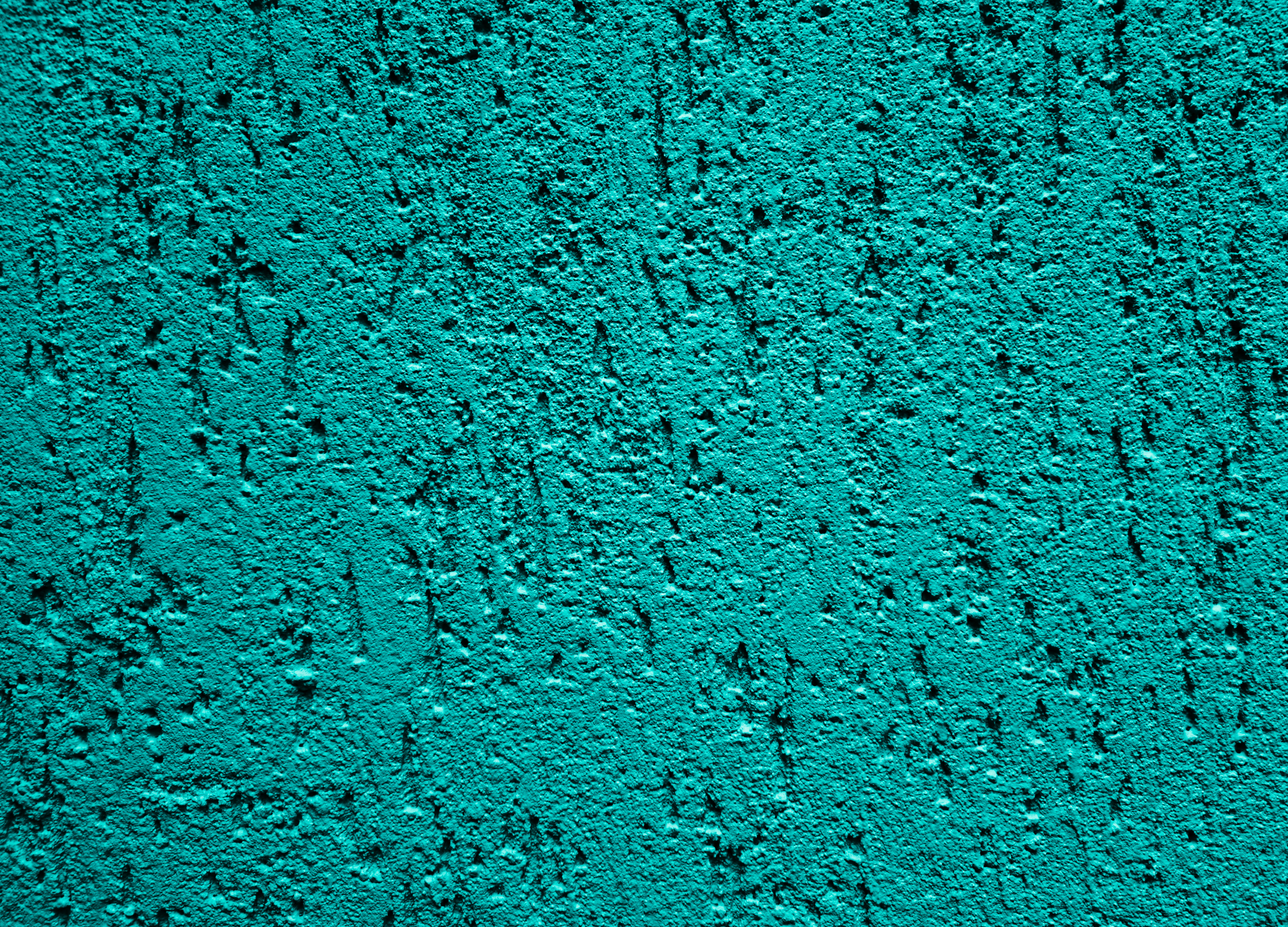 Photo by zoshuacolah