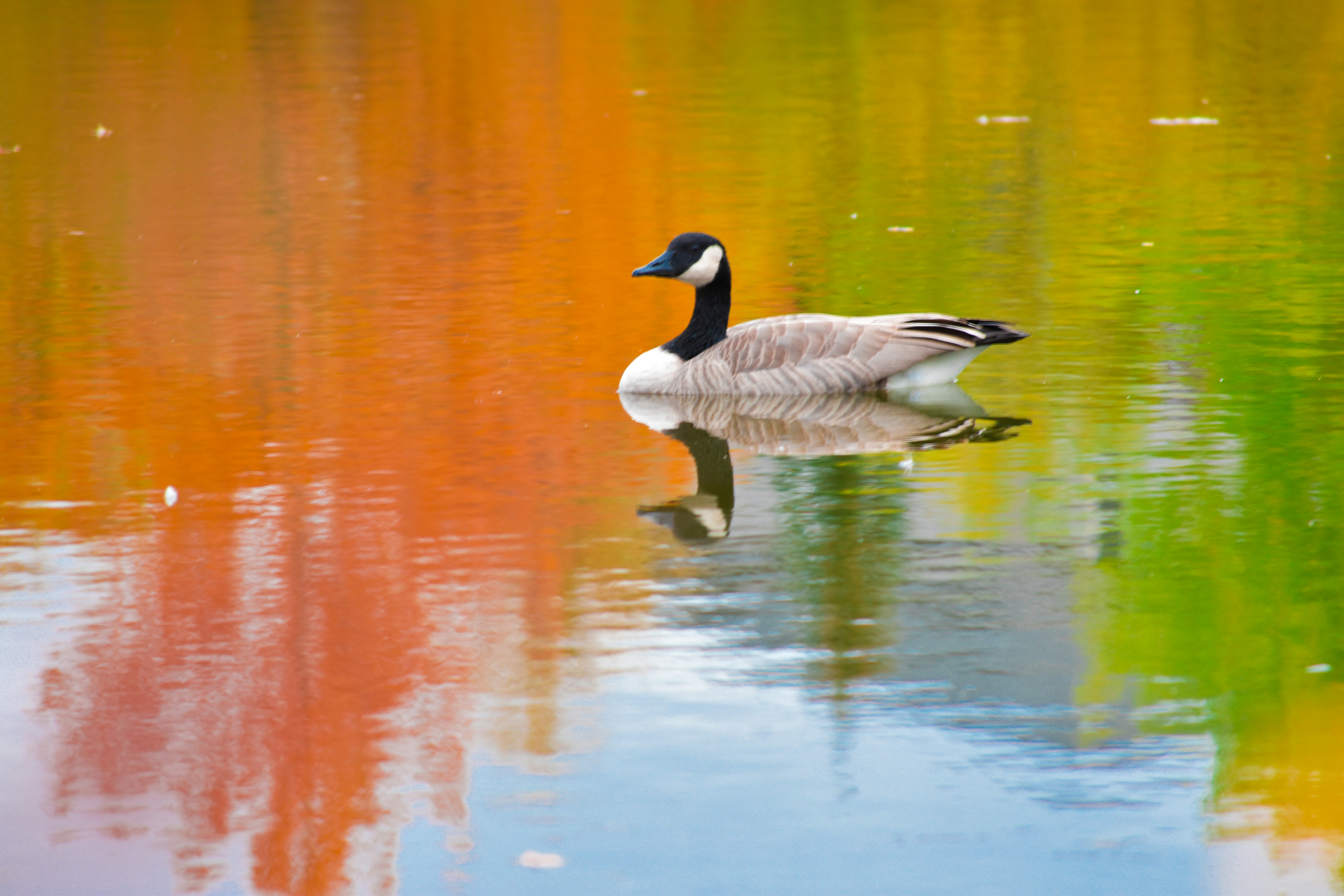 Photo by deandrabeaudry