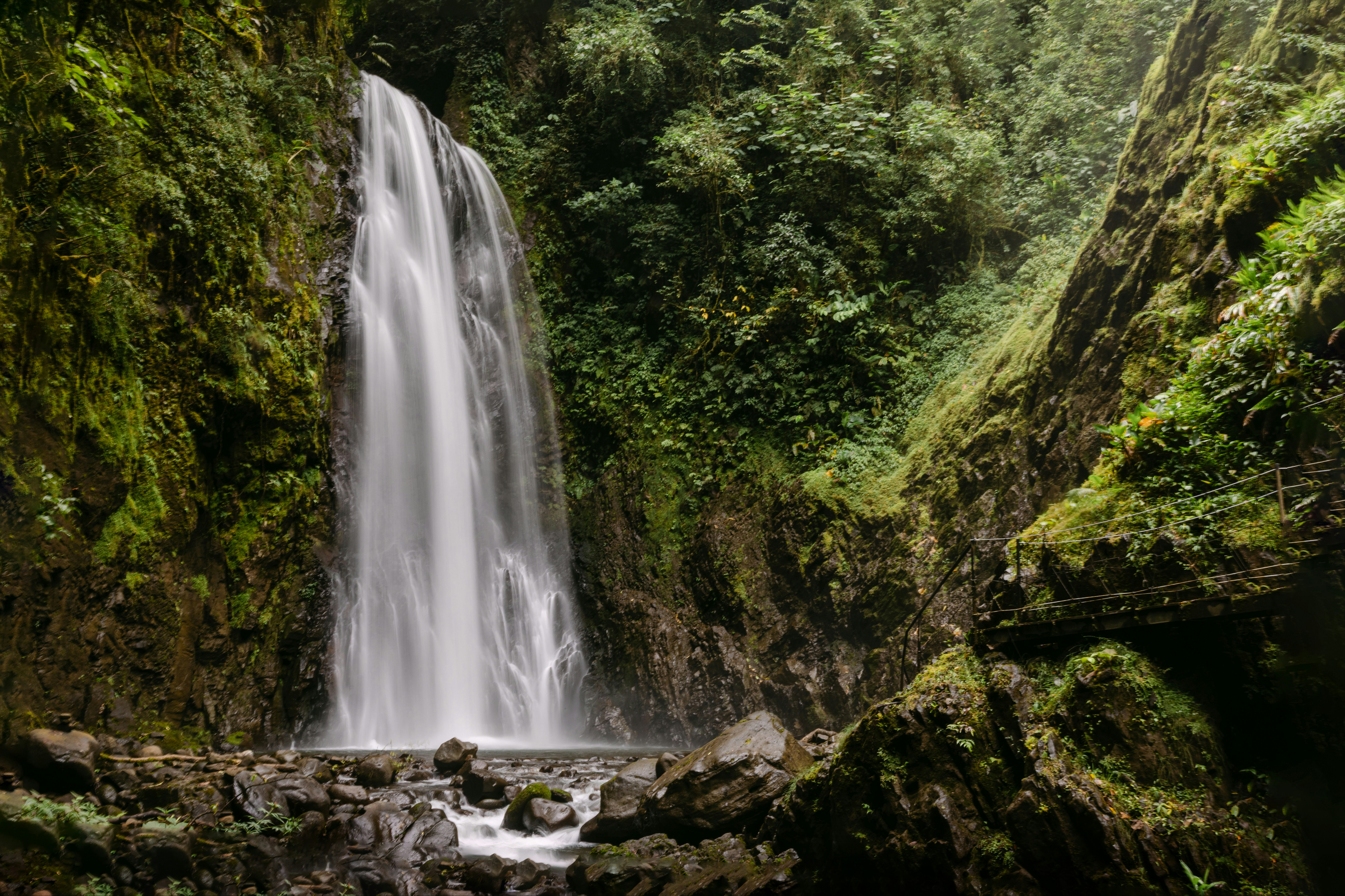 Photo by kevinheslin