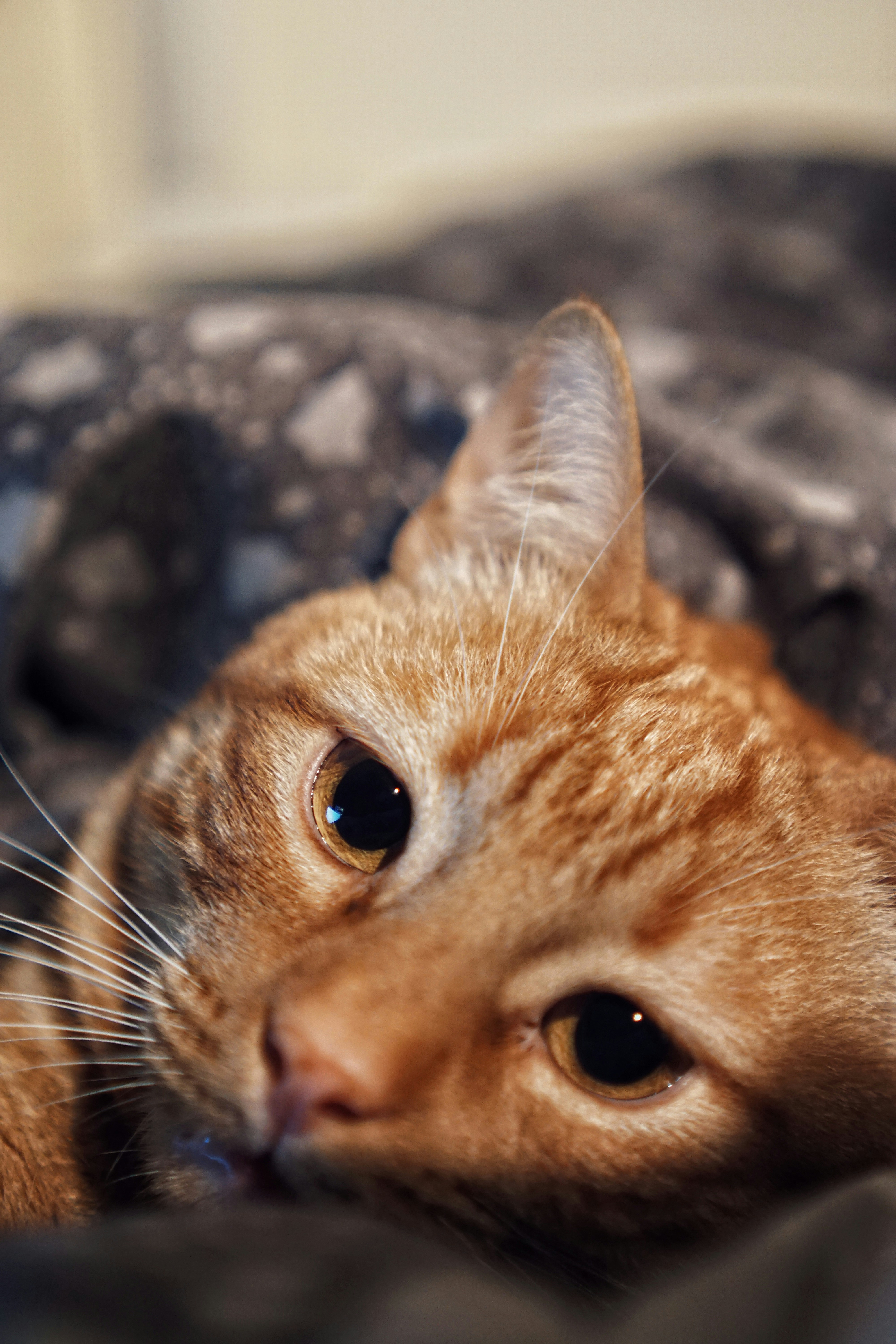 Photo by virginialara