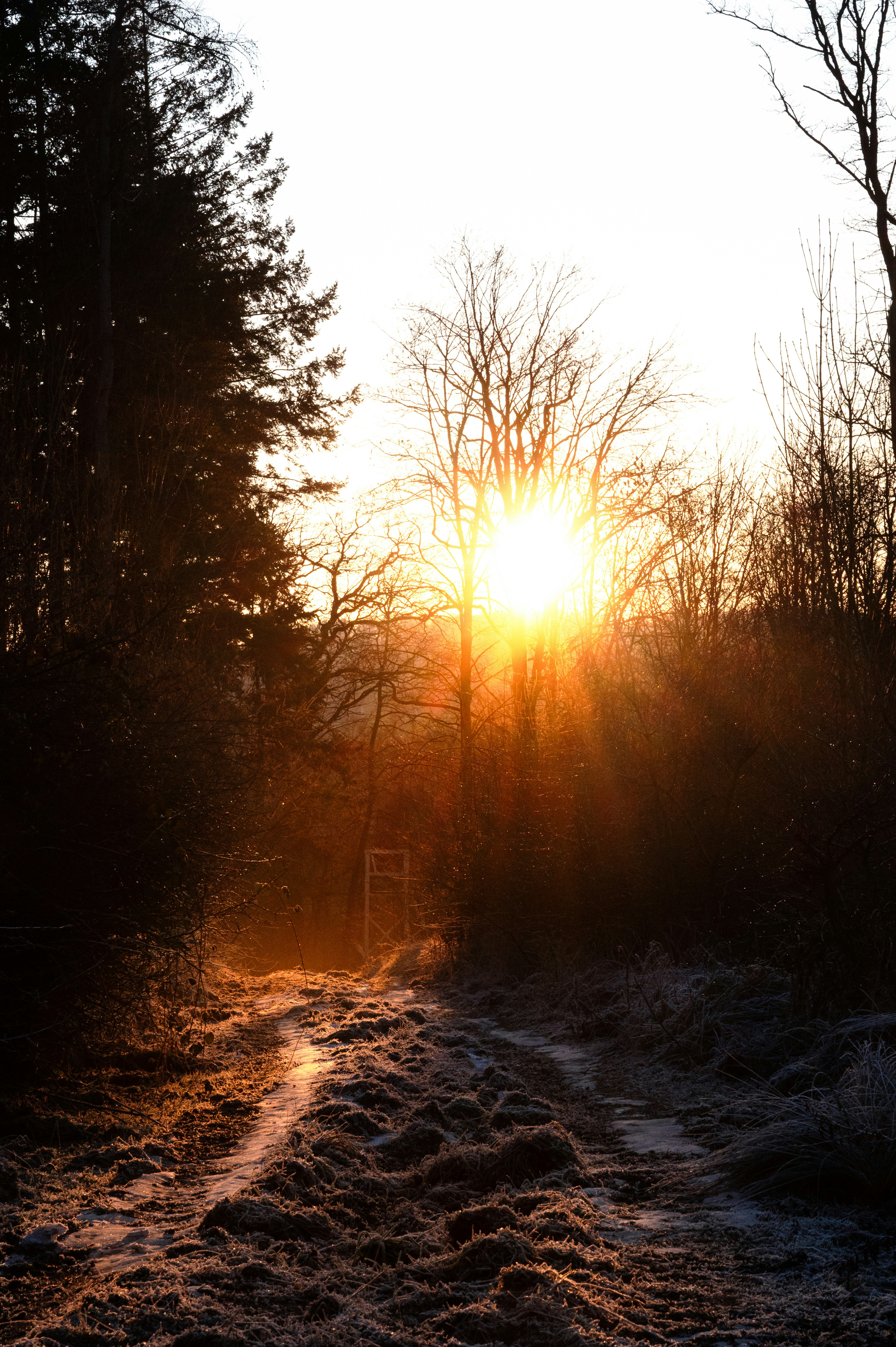 Photo by ad_sportfotograf