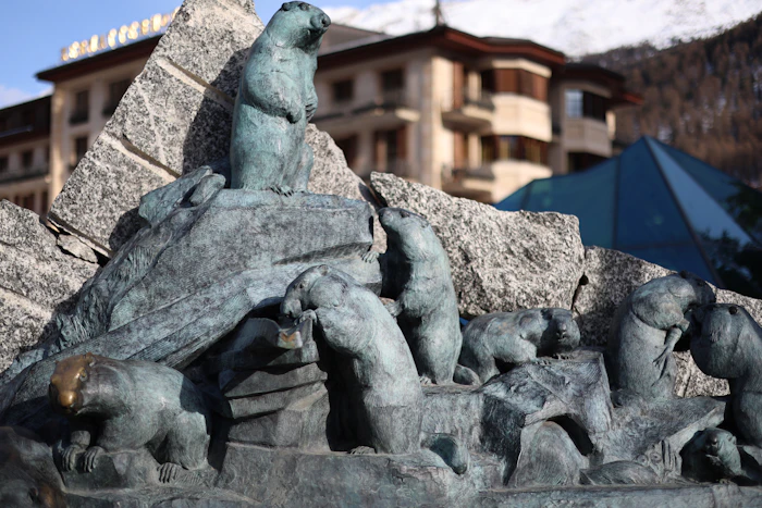 Pet Friendly Stays