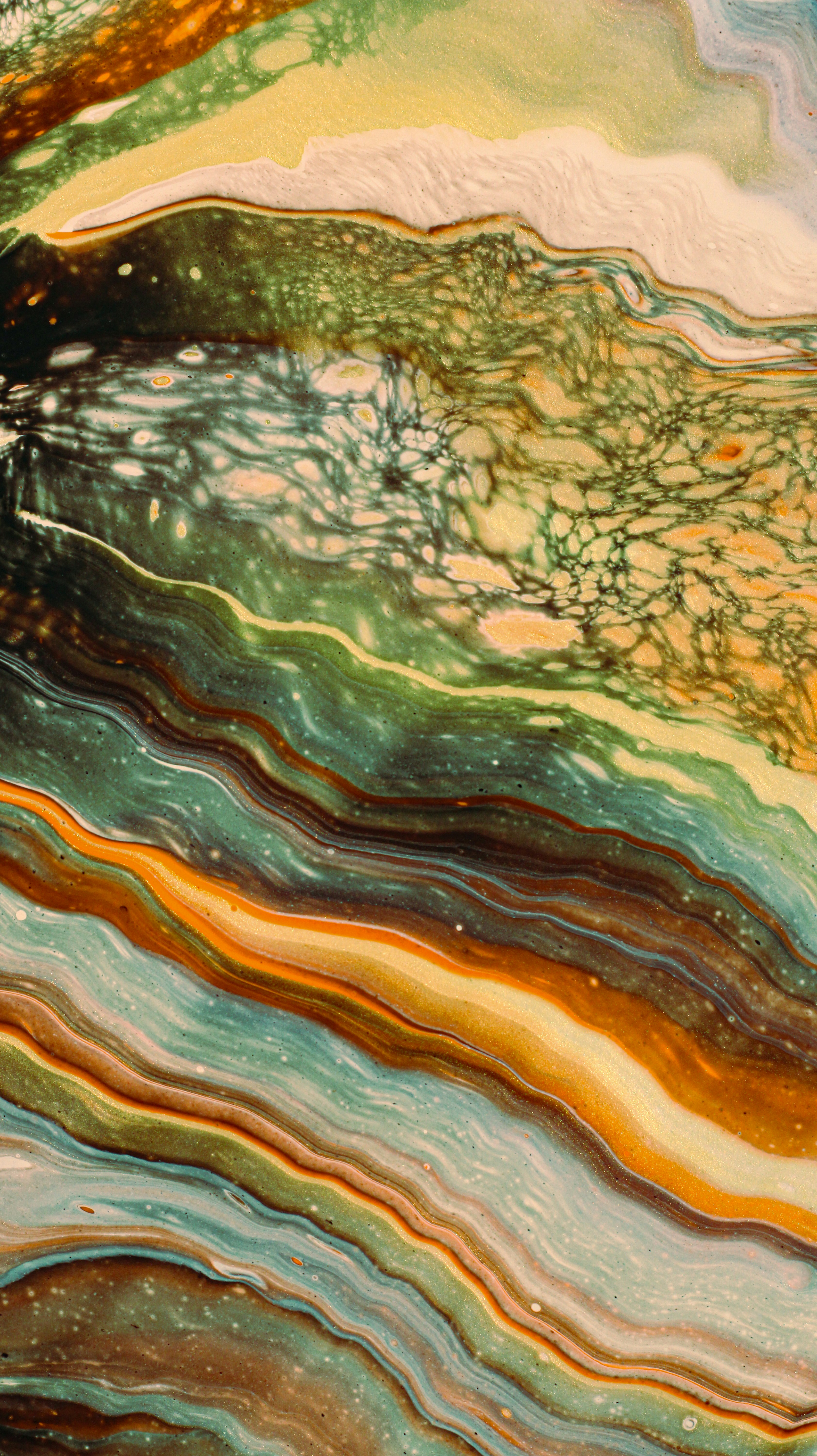 Photo by susan_wilkinson