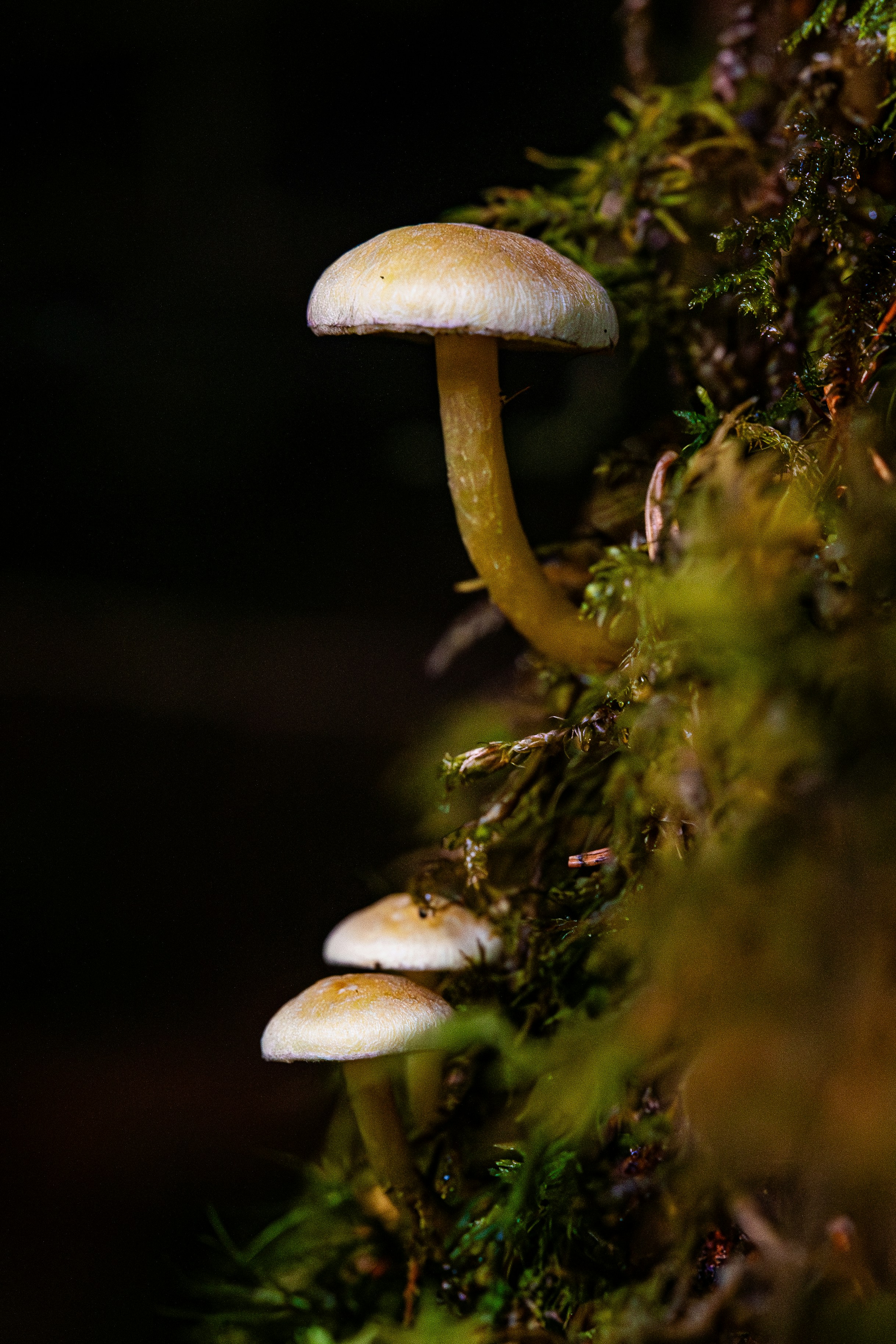 Photo by patrick_von_der_wehd