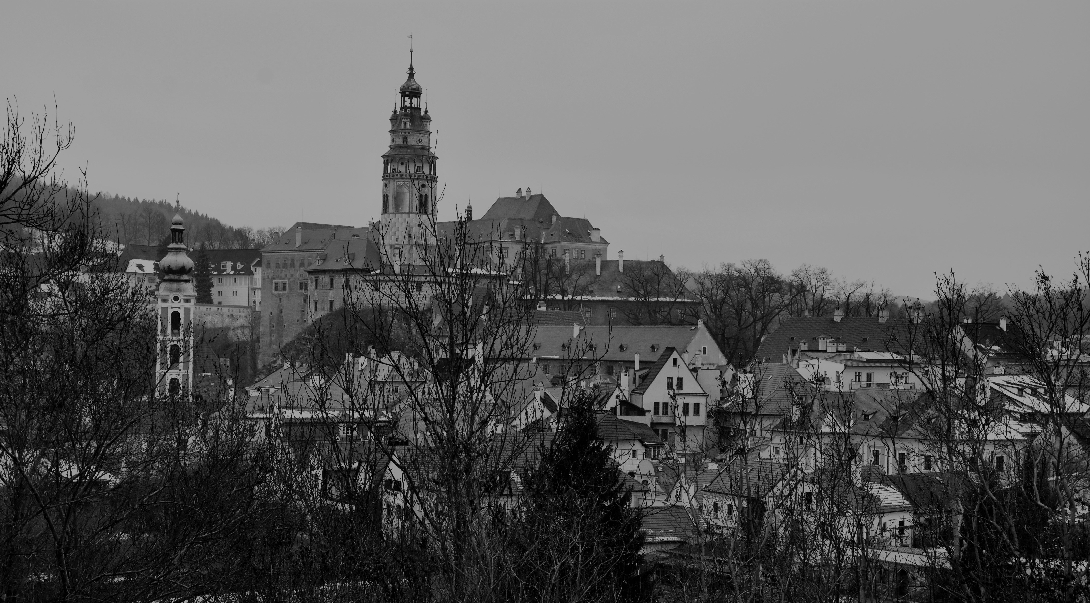 Photo by sabetheodoore