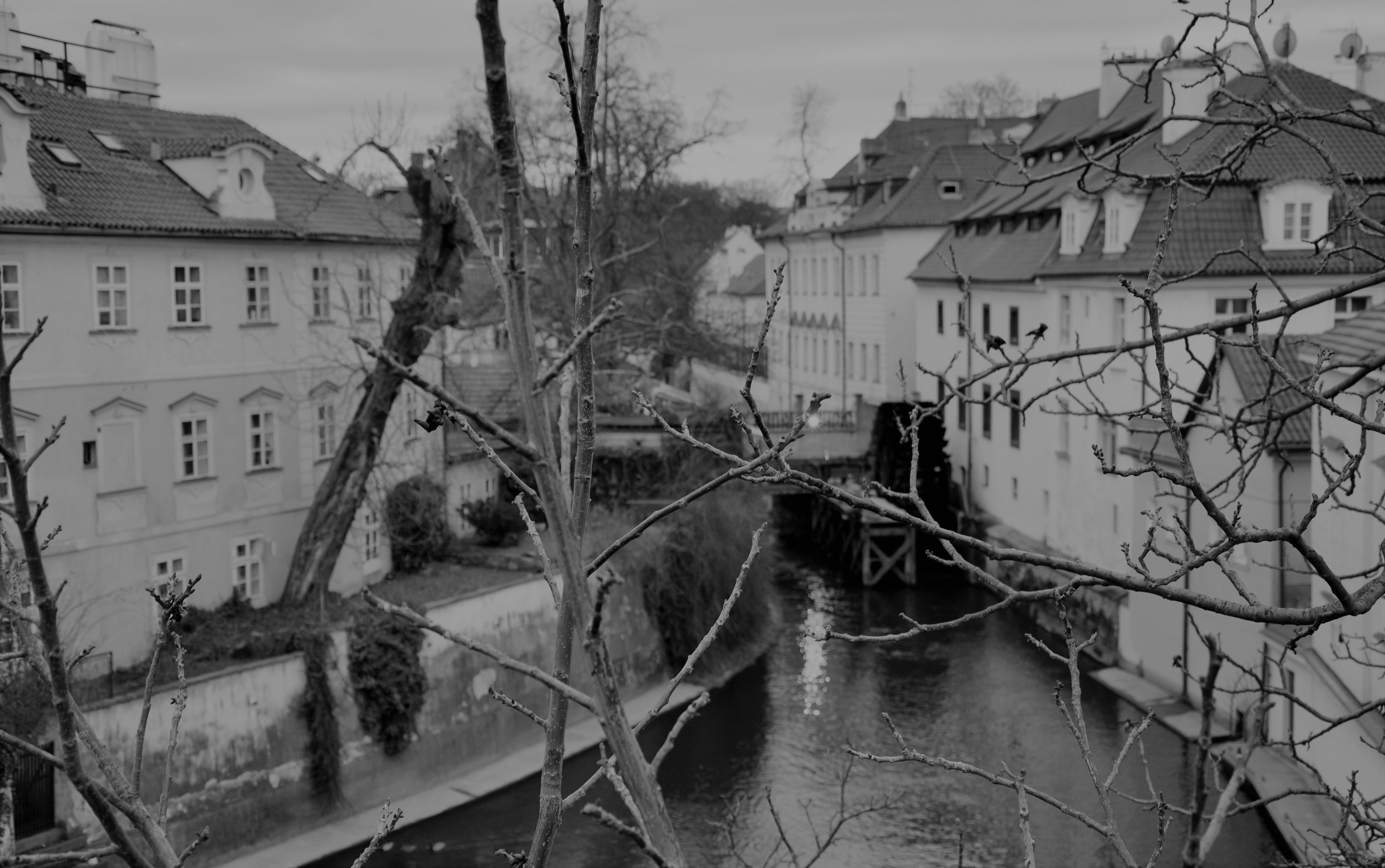 Photo by sabetheodoore